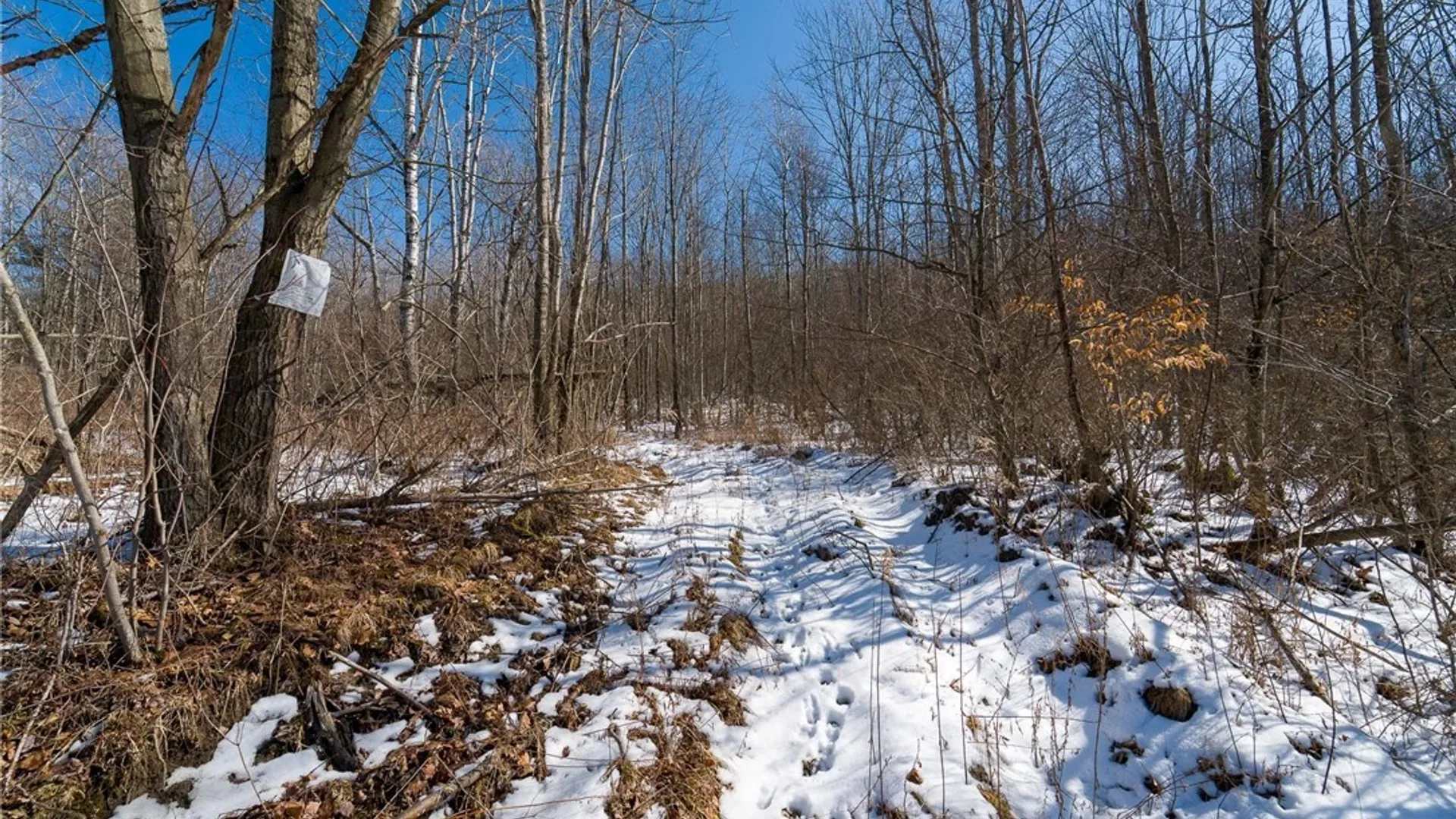 Property at Nys Route 414, Catlin, NY 14902 29