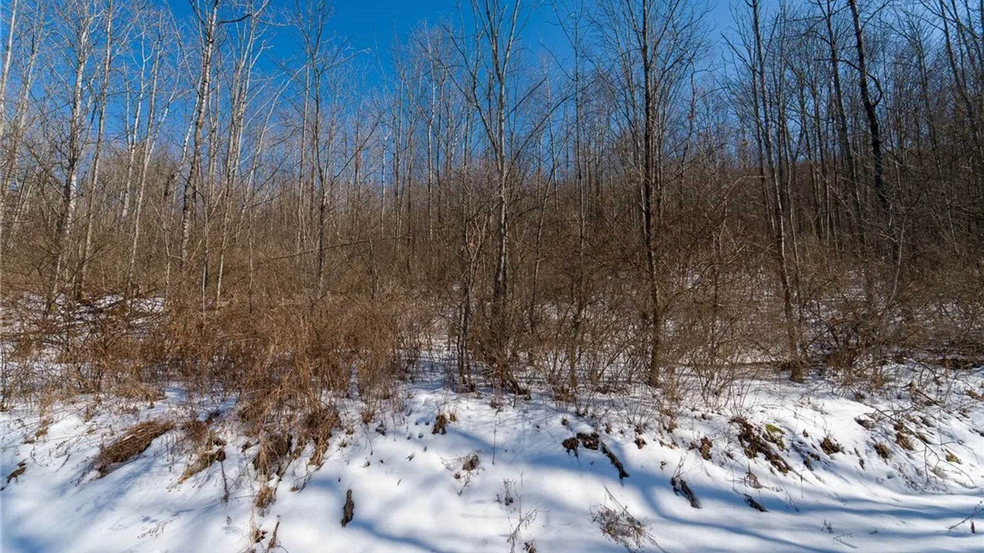 Property at Nys Route 414, Catlin, NY 14902 30