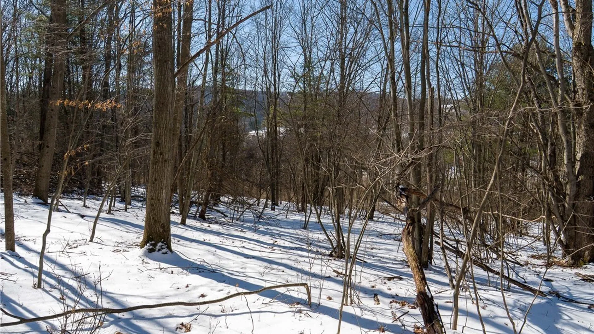 Property at Nys Route 414, Catlin, NY 14902 31