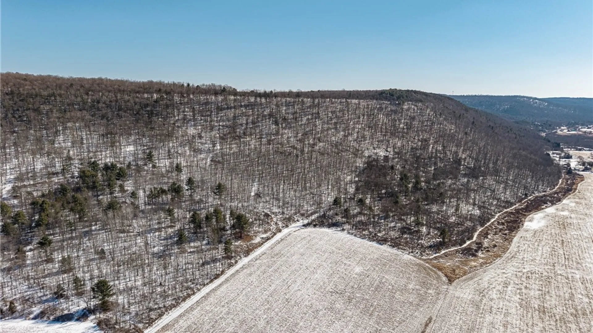 Property at Nys Route 414, Catlin, NY 14902 6