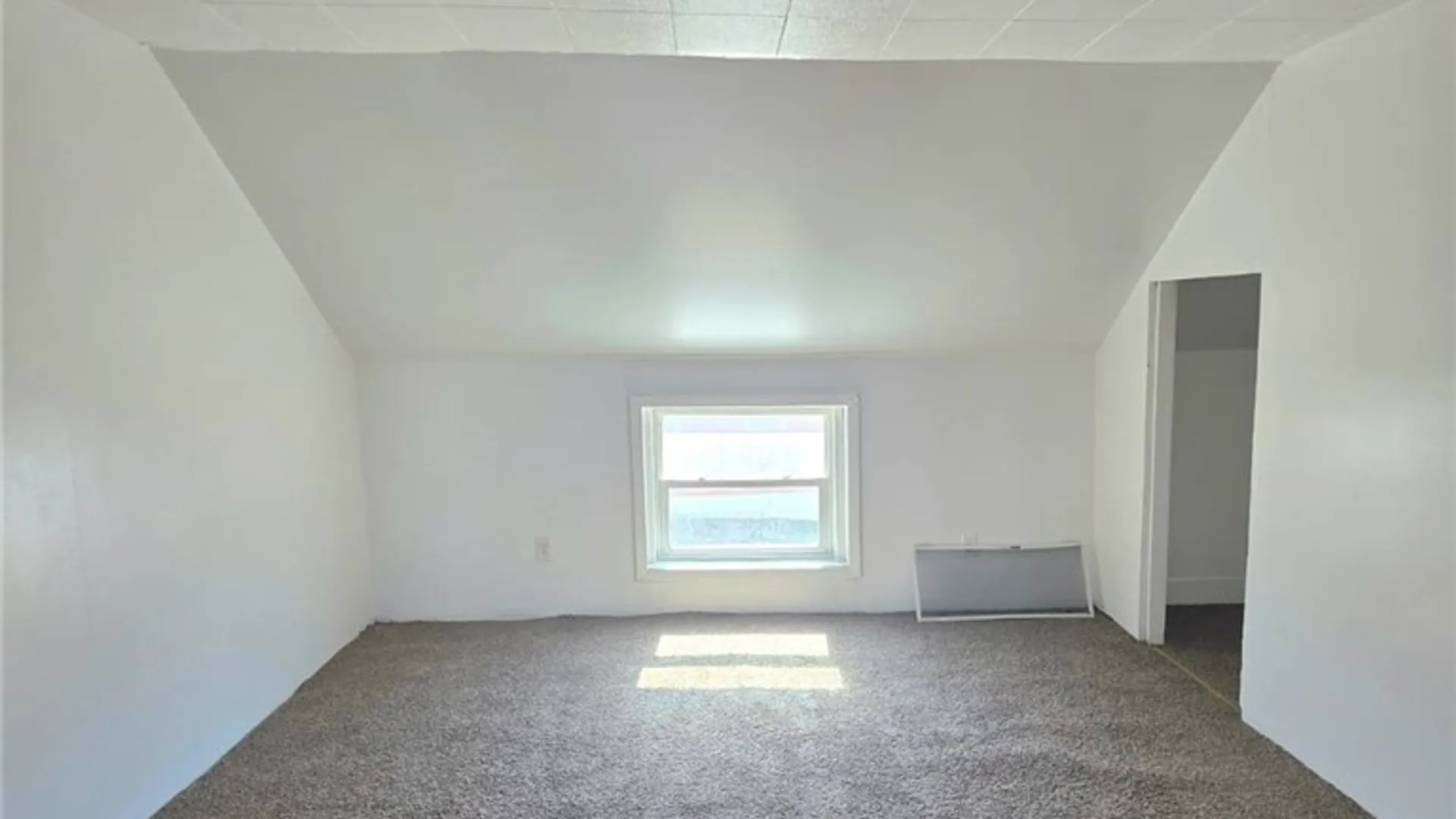 Property at 135 Ivy Street, Buffalo, NY 14211 15