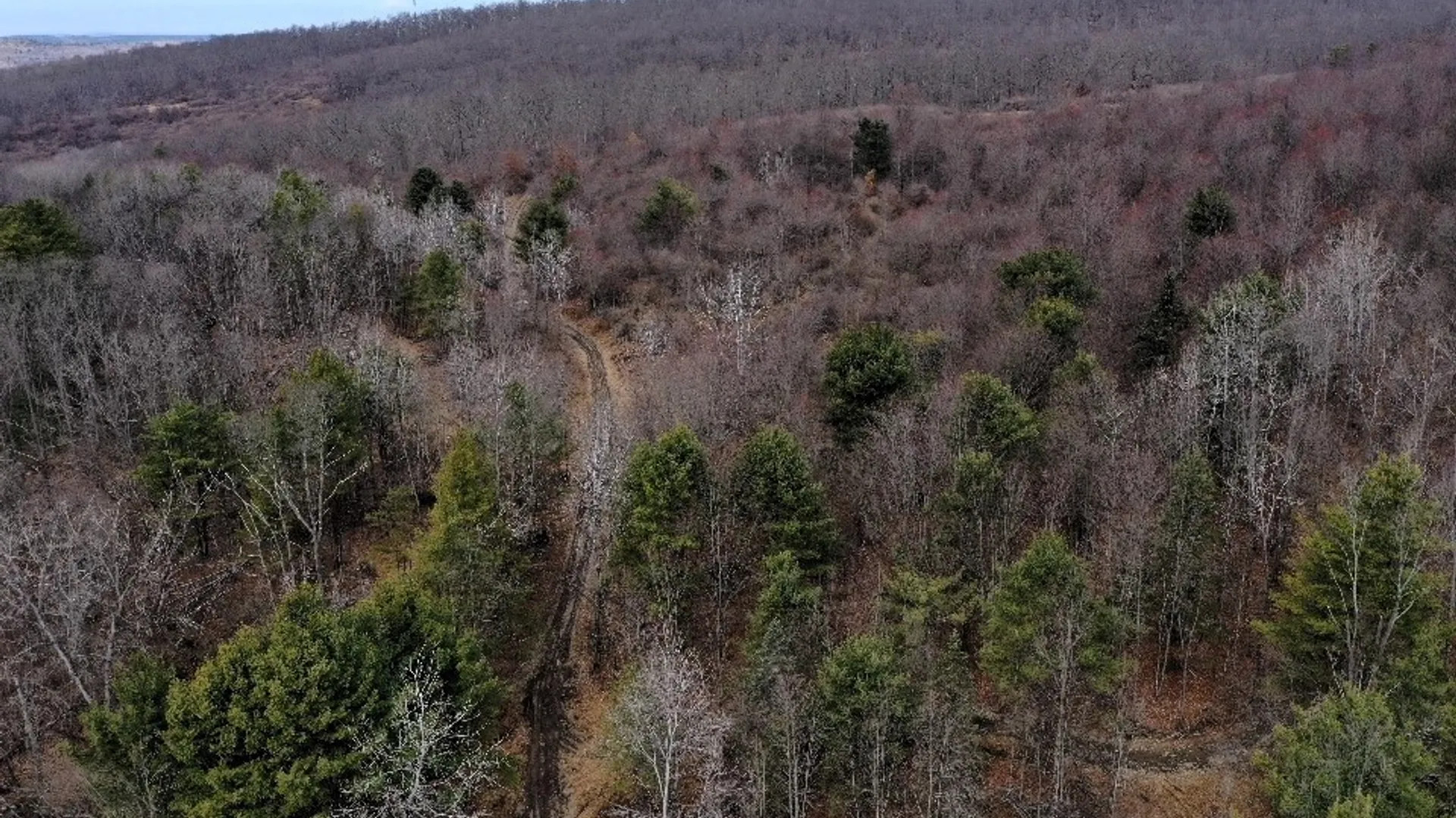 Property at Welty Road, Lindley, NY 14858 10