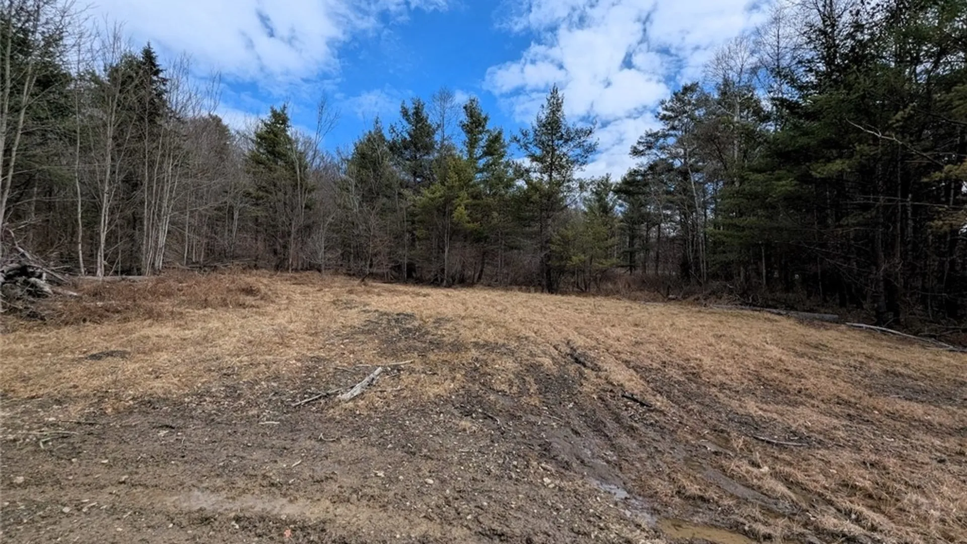 Property at Welty Road, Lindley, NY 14858 11