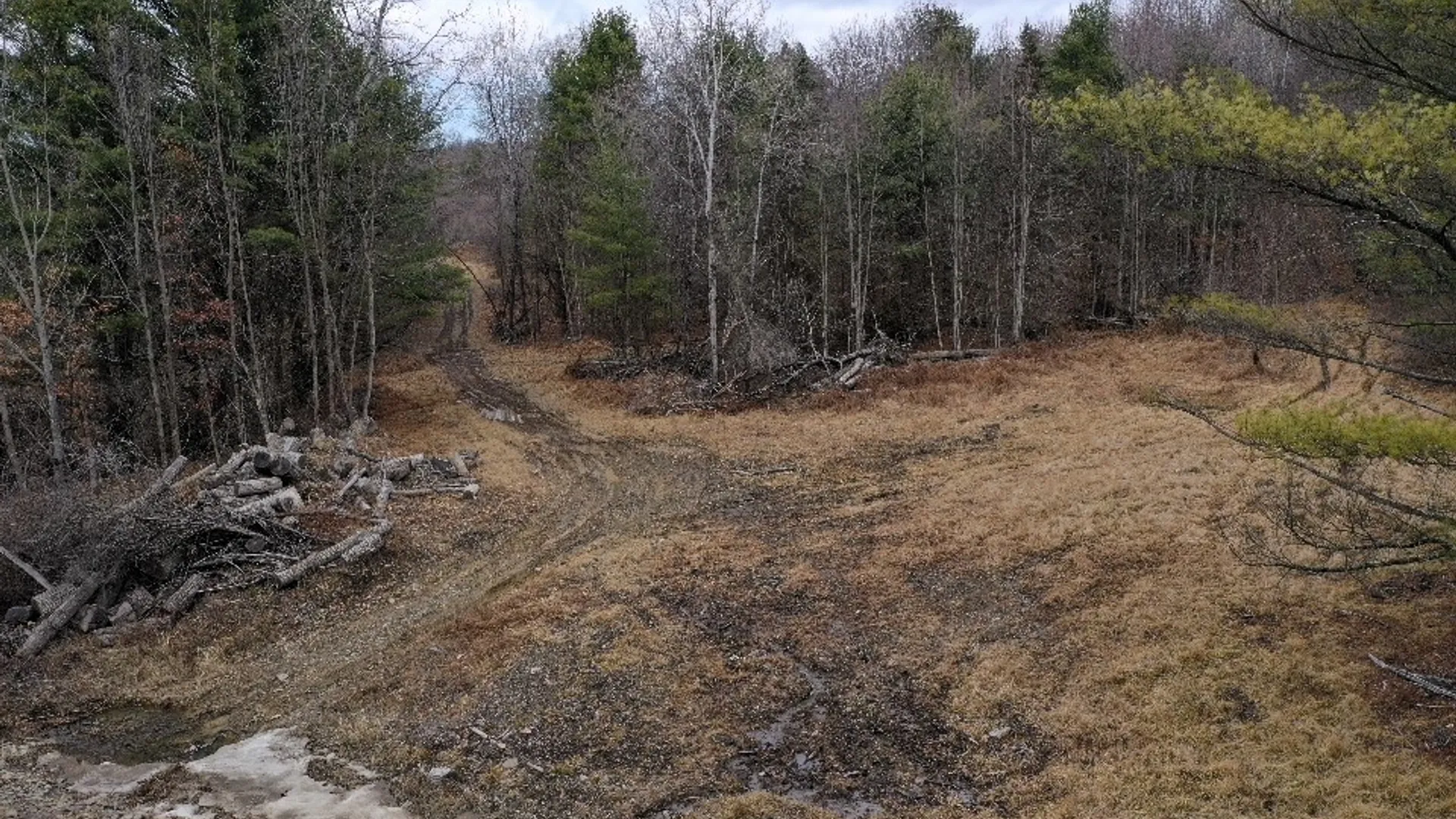 Property at Welty Road, Lindley, NY 14858 12