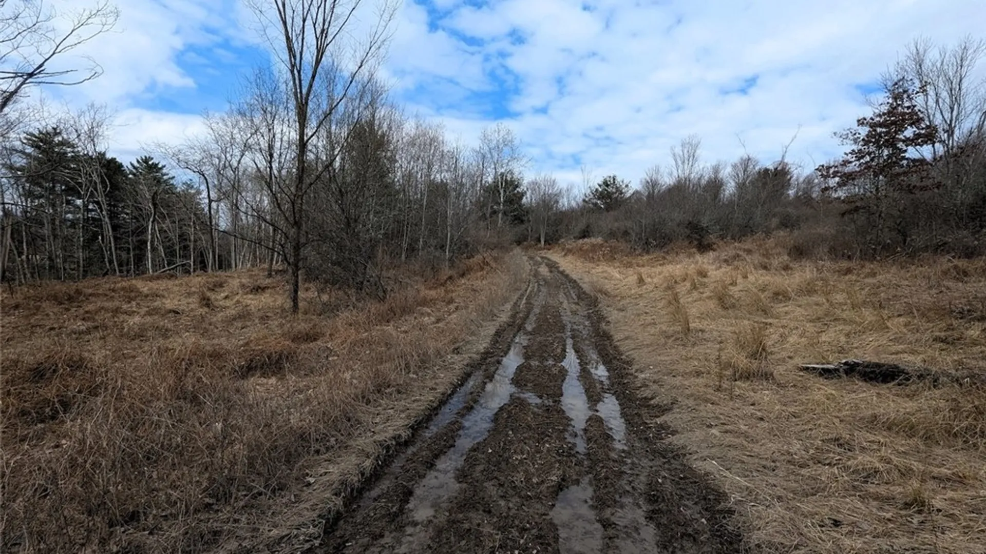 Property at Welty Road, Lindley, NY 14858 13