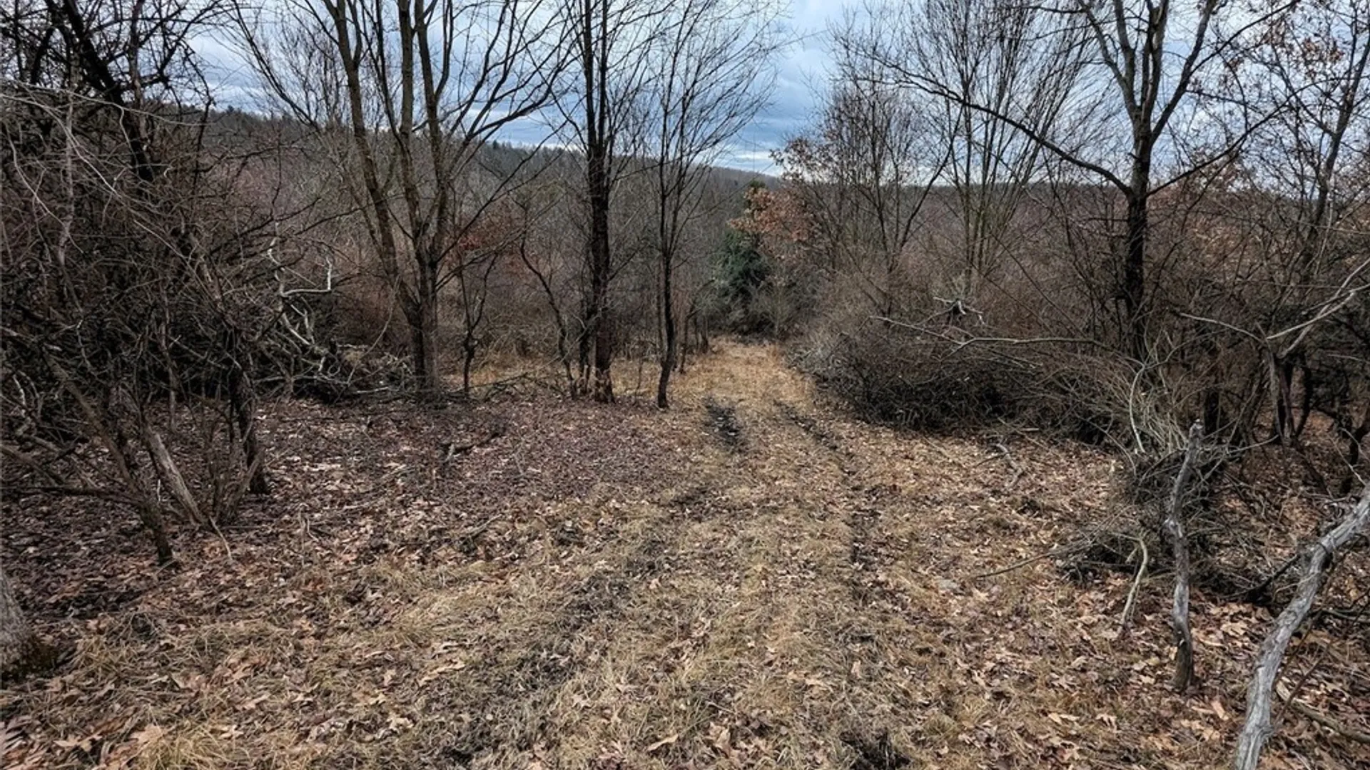 Property at Welty Road, Lindley, NY 14858 15