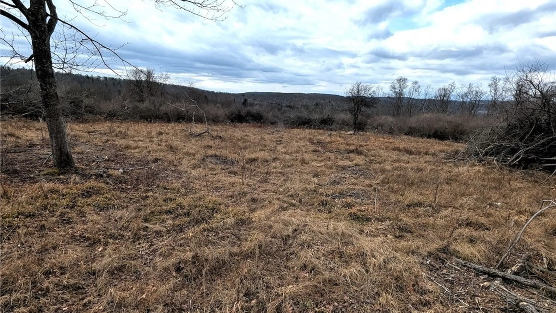 Property at Welty Road, Lindley, NY 14858 16