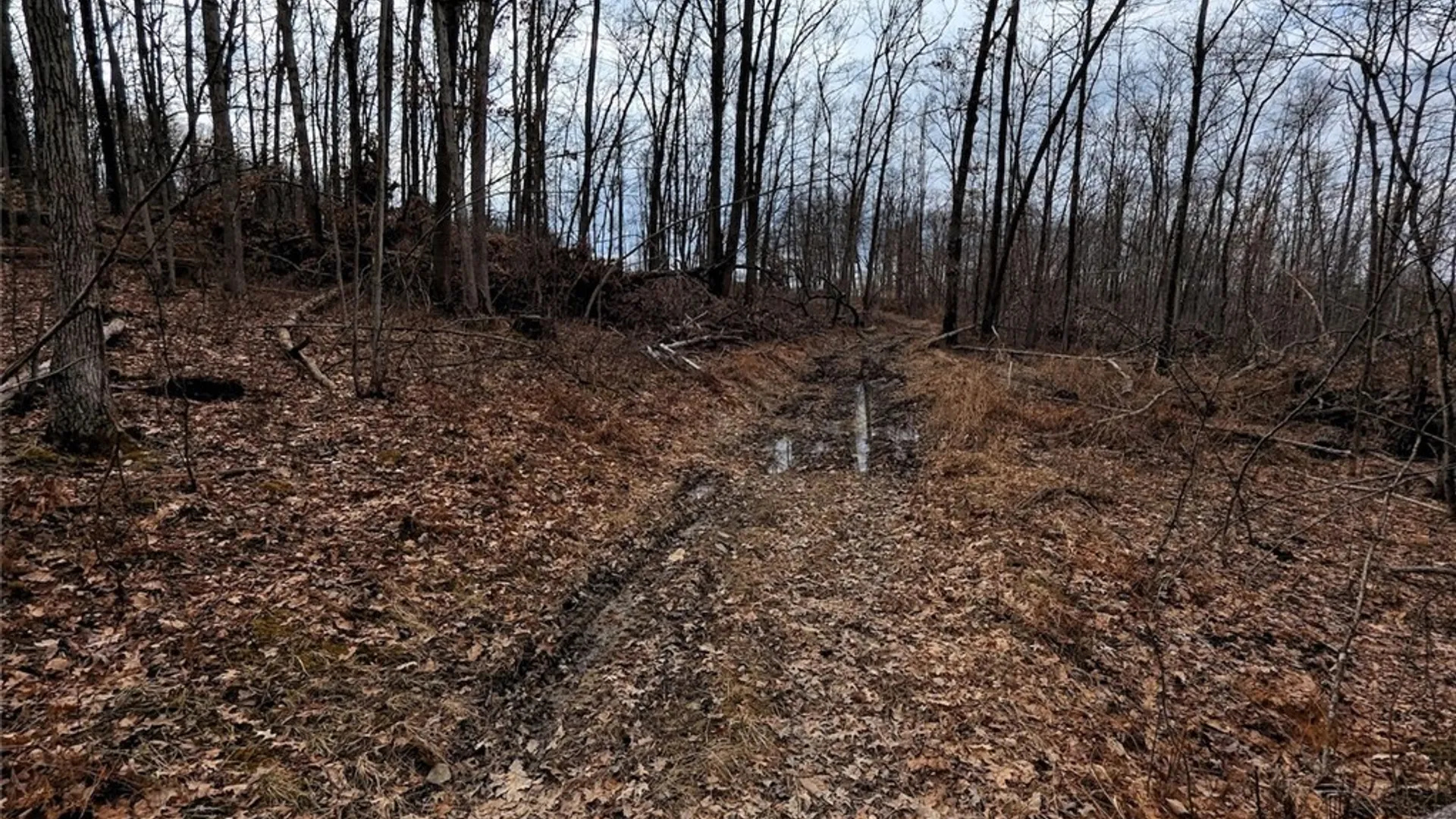 Property at Welty Road, Lindley, NY 14858 18