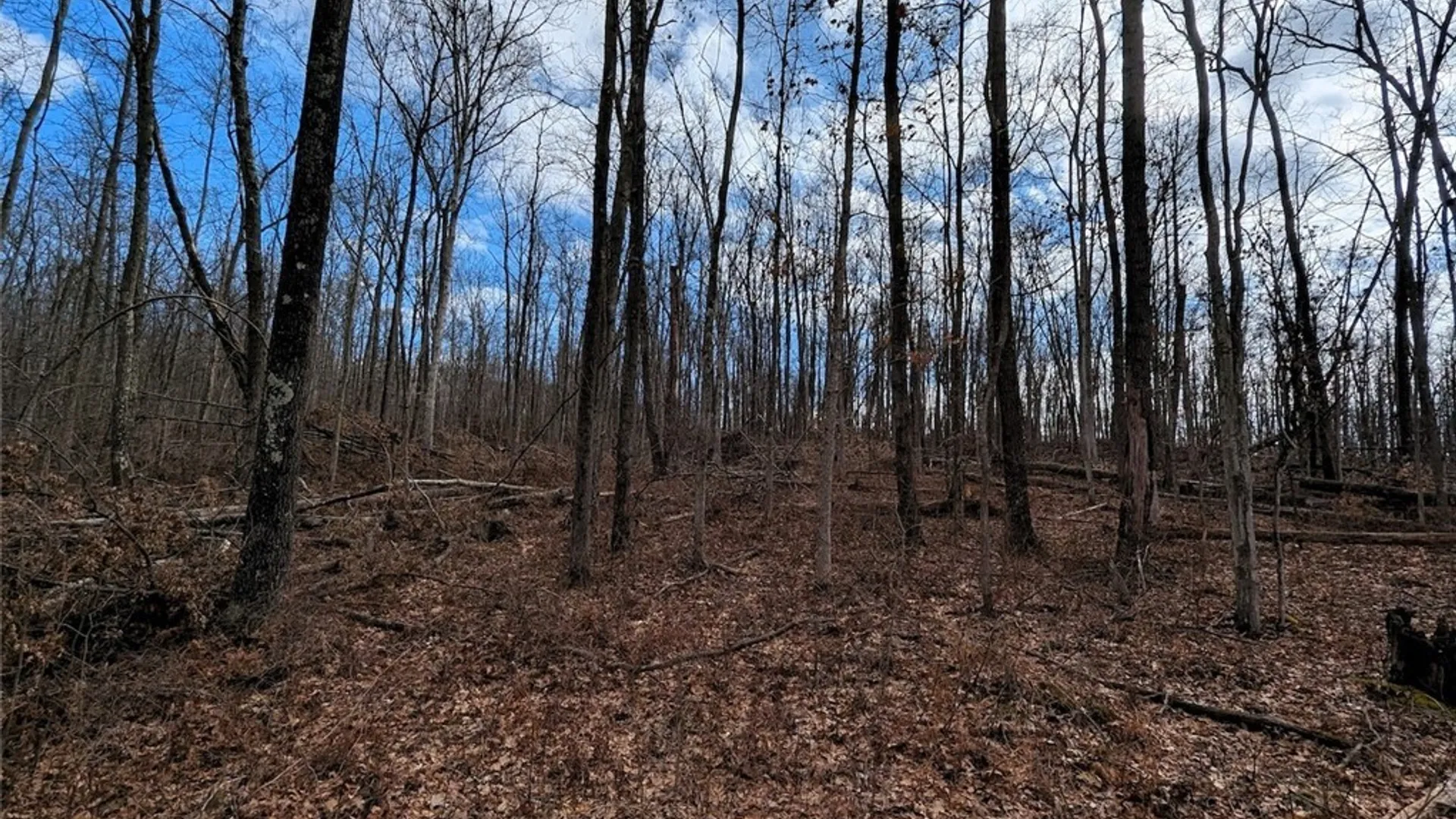 Property at Welty Road, Lindley, NY 14858 19