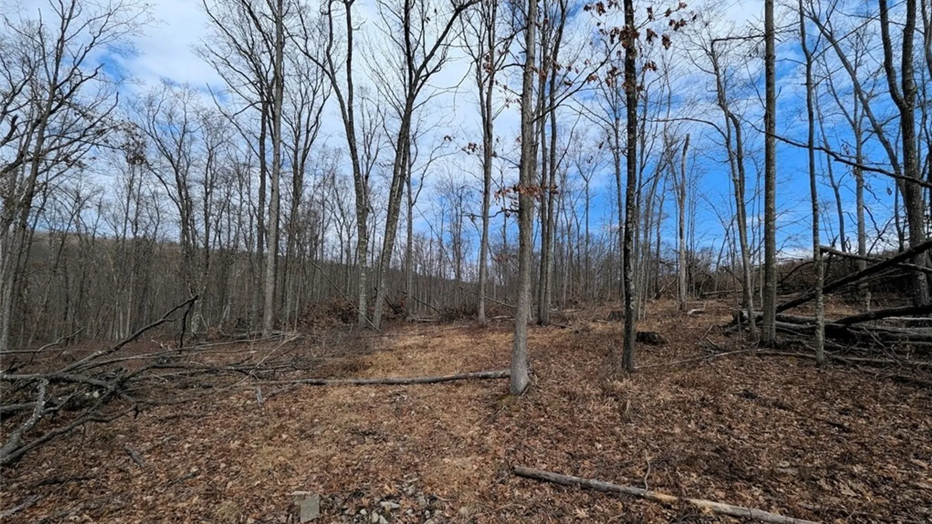 Property at Welty Road, Lindley, NY 14858 2