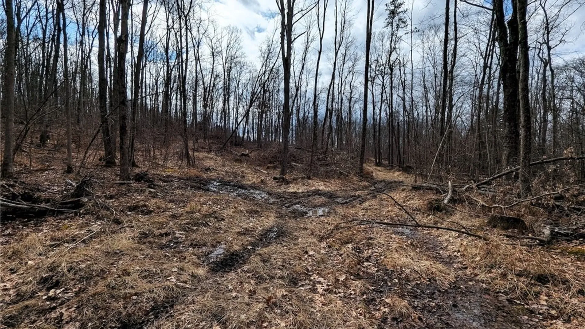 Property at Welty Road, Lindley, NY 14858 21