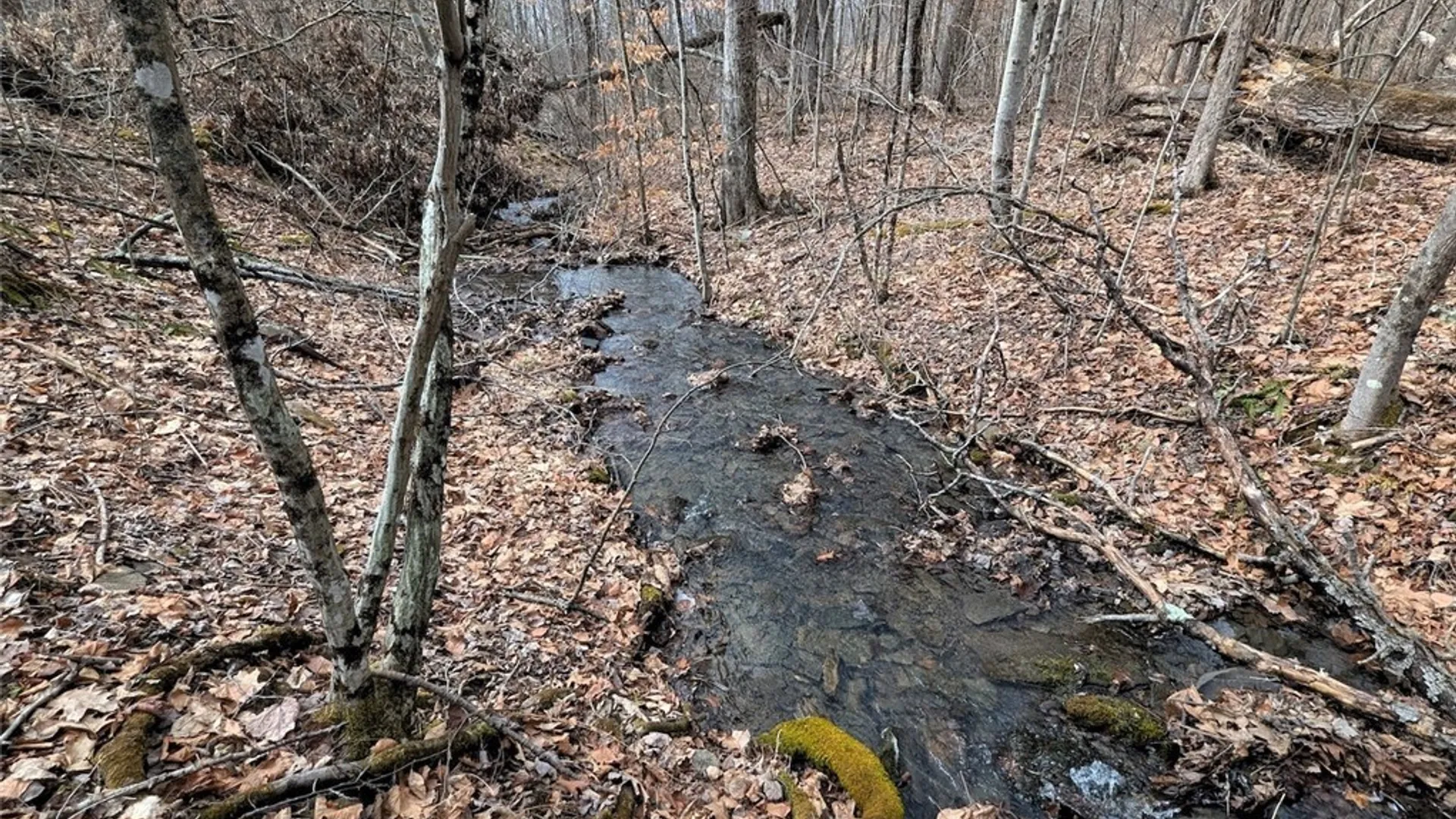 Property at Welty Road, Lindley, NY 14858 22