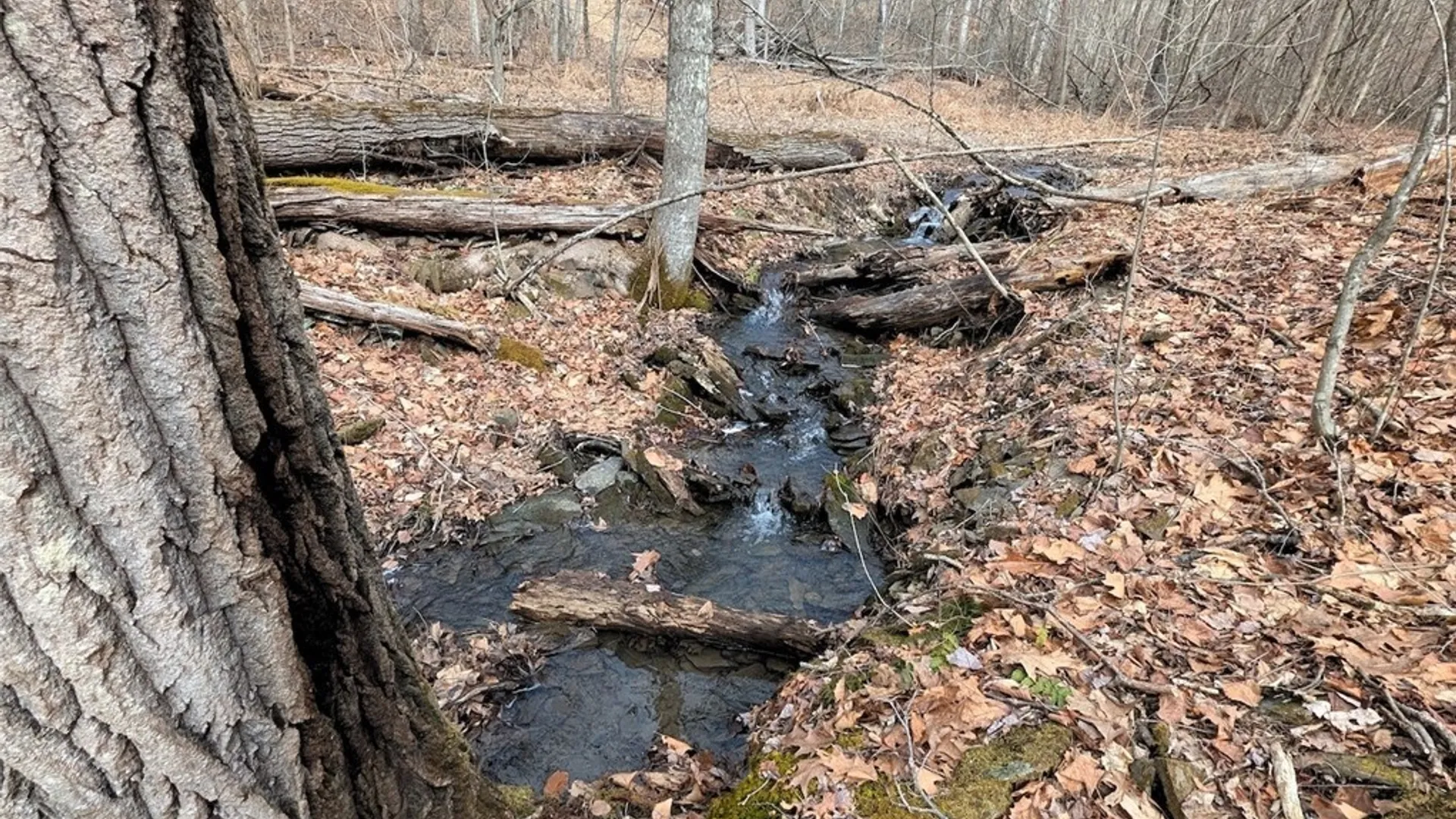 Property at Welty Road, Lindley, NY 14858 23