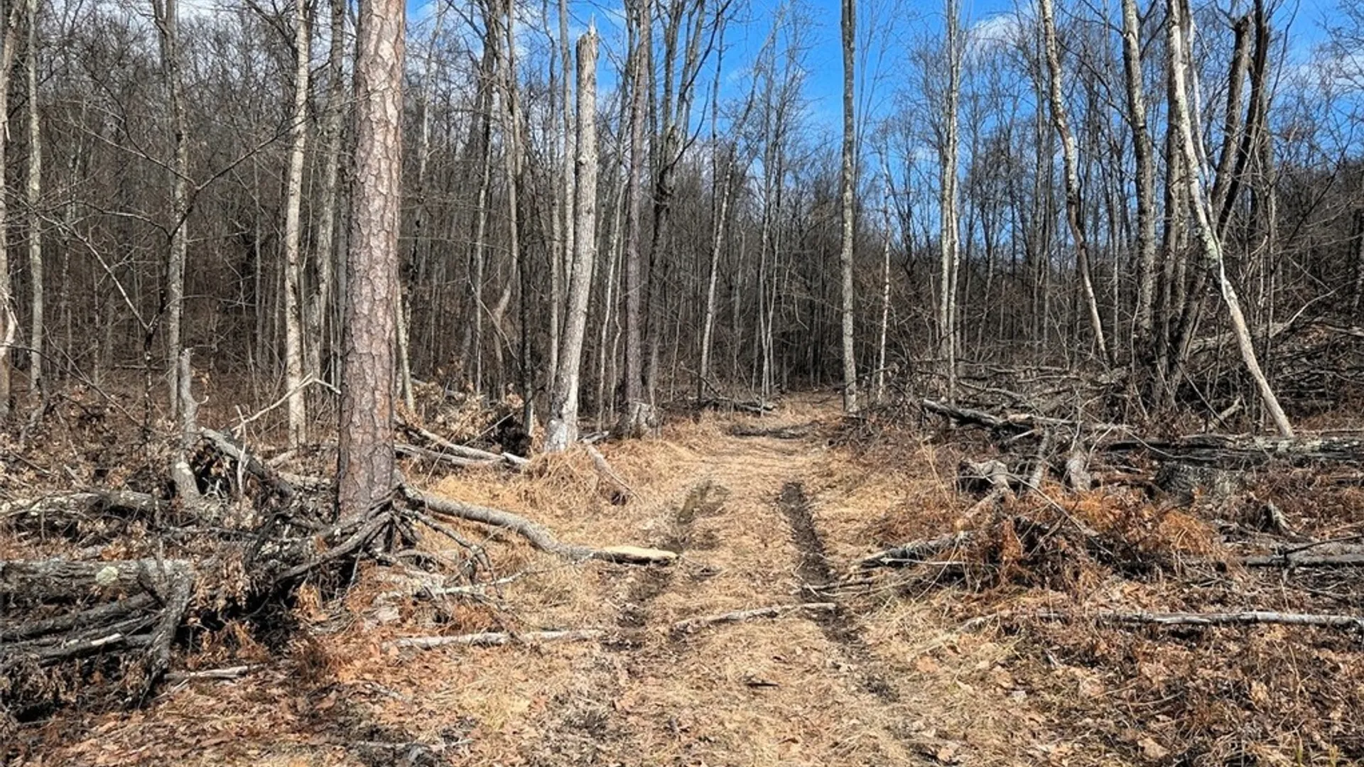 Property at Welty Road, Lindley, NY 14858 24