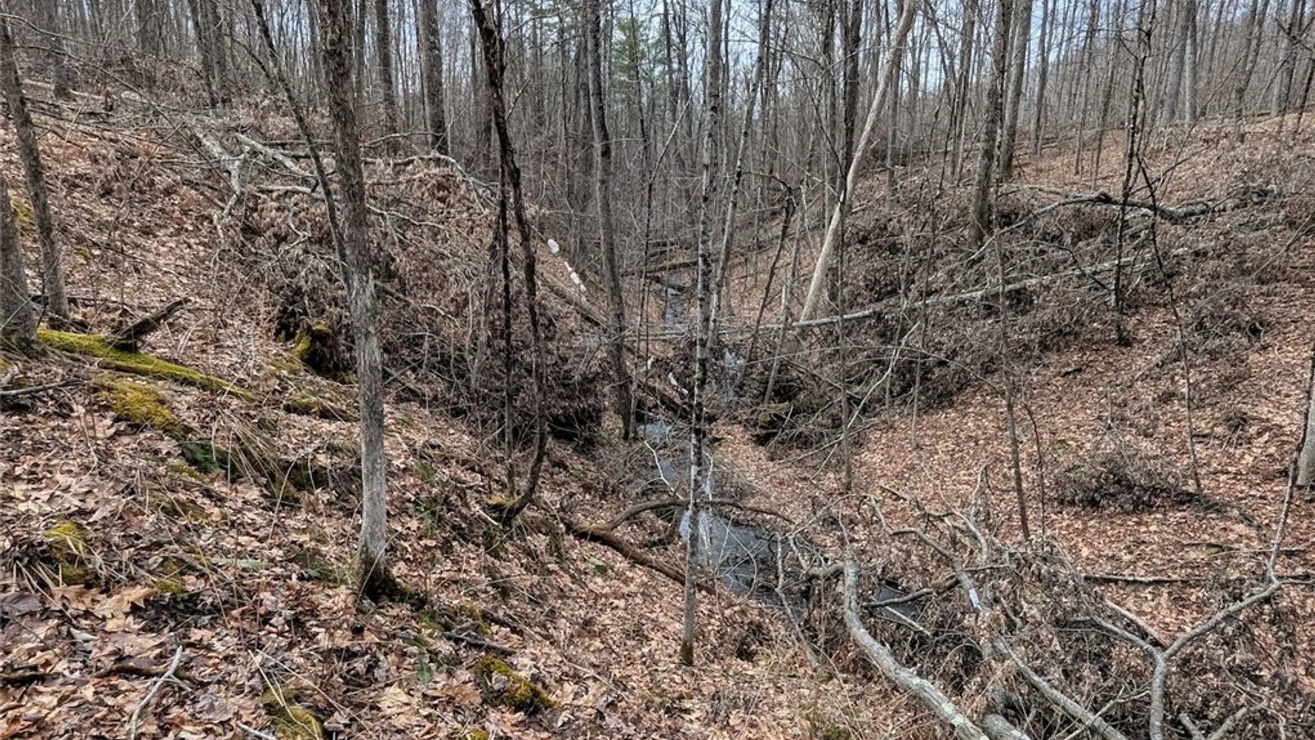 Property at Welty Road, Lindley, NY 14858 25