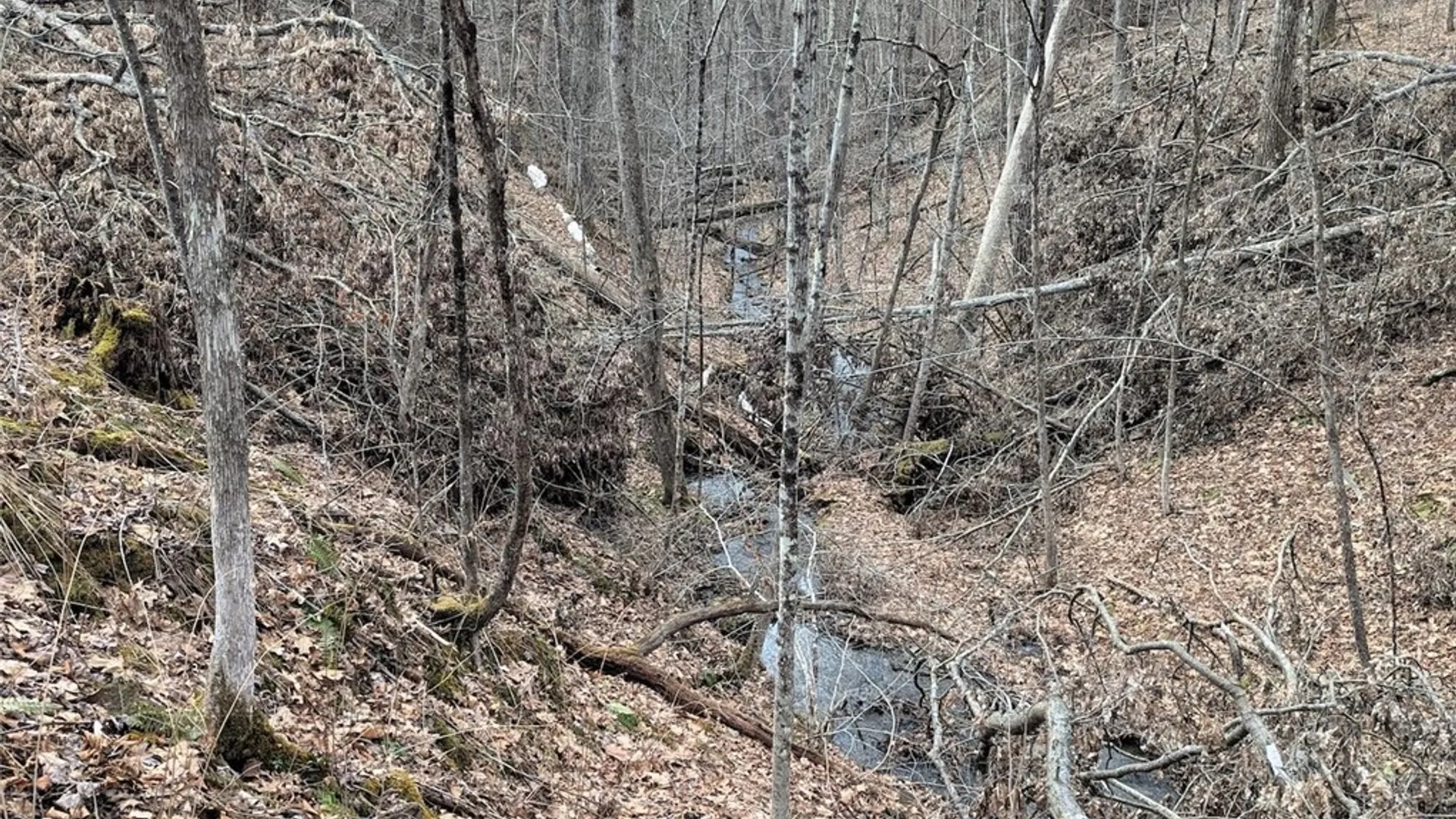 Property at Welty Road, Lindley, NY 14858 26