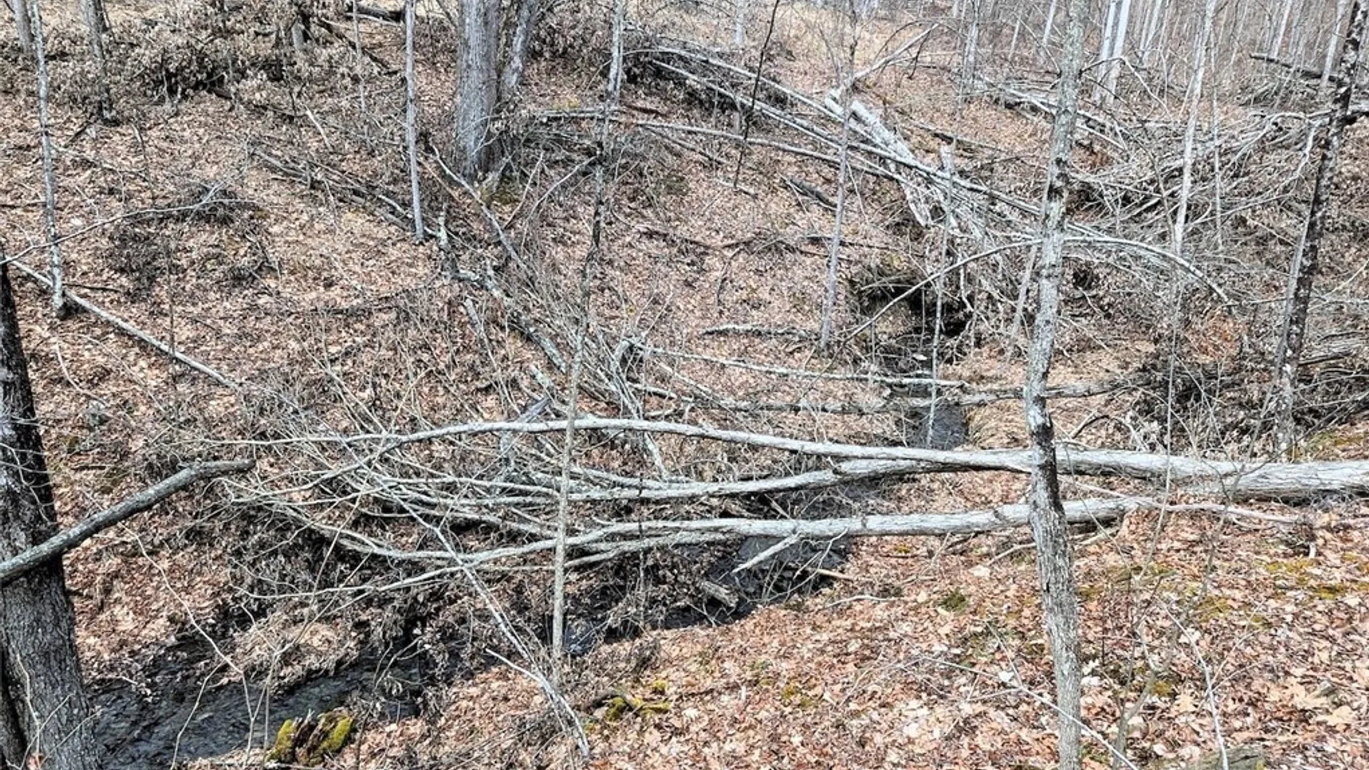 Property at Welty Road, Lindley, NY 14858 27