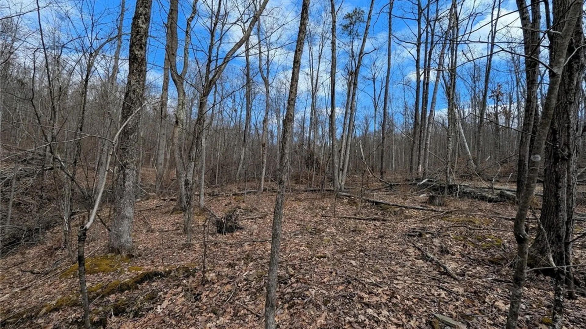 Property at Welty Road, Lindley, NY 14858 28