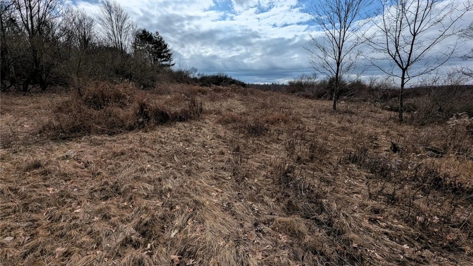 Property at Welty Road, Lindley, NY 14858 29