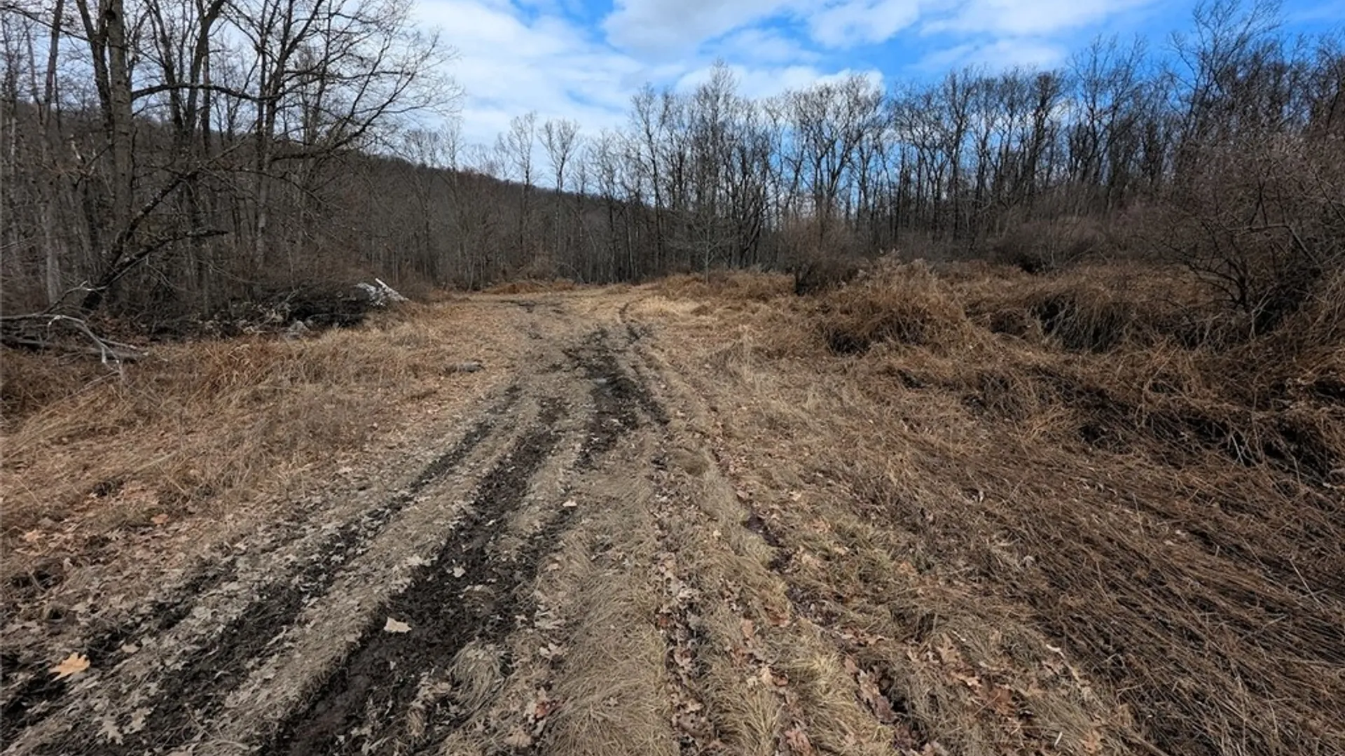 Property at Welty Road, Lindley, NY 14858 30