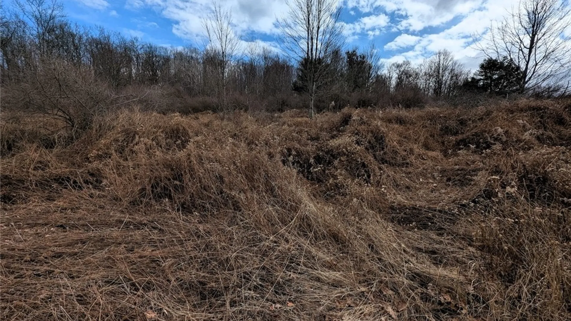 Property at Welty Road, Lindley, NY 14858 31