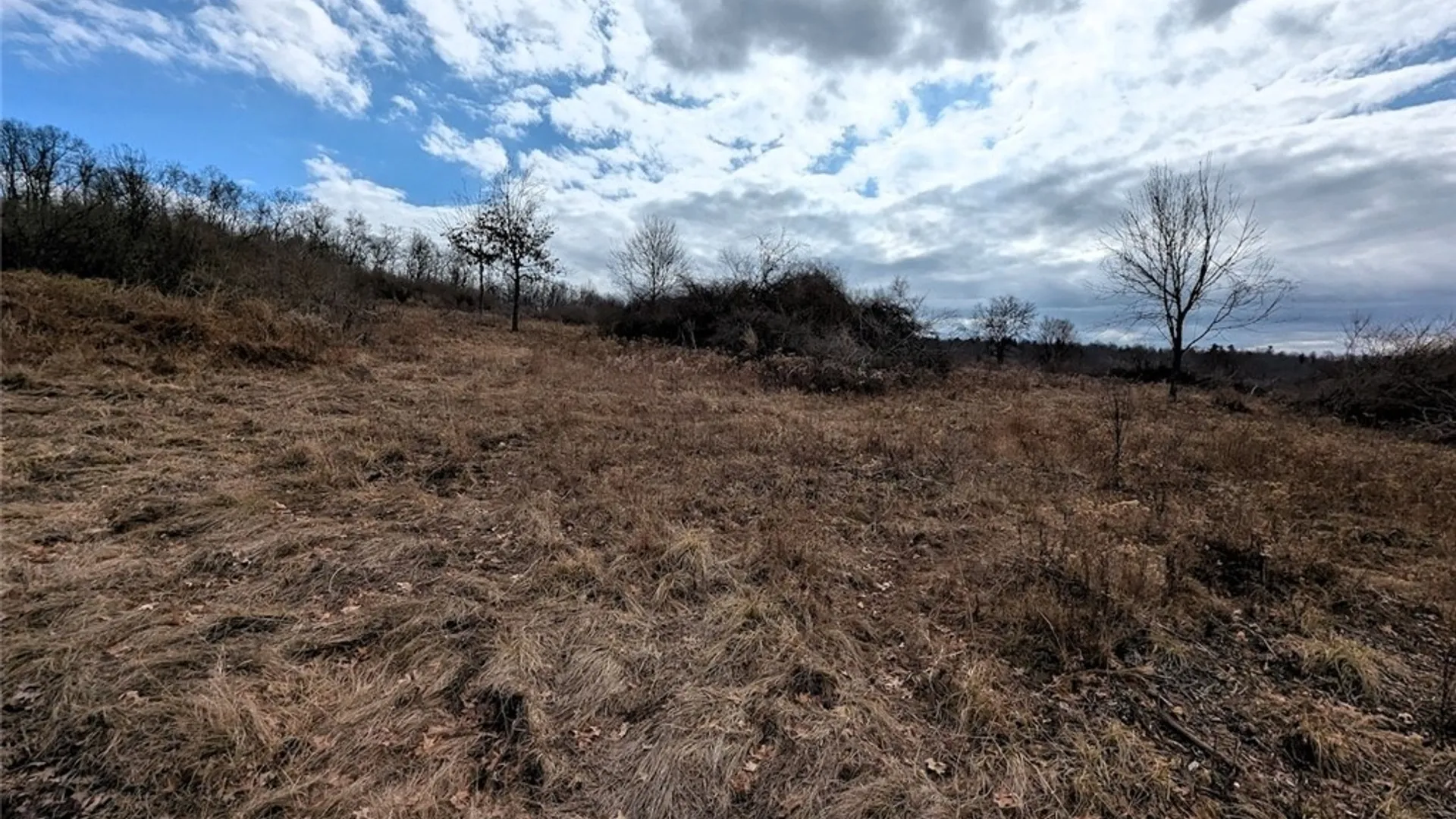 Property at Welty Road, Lindley, NY 14858 32