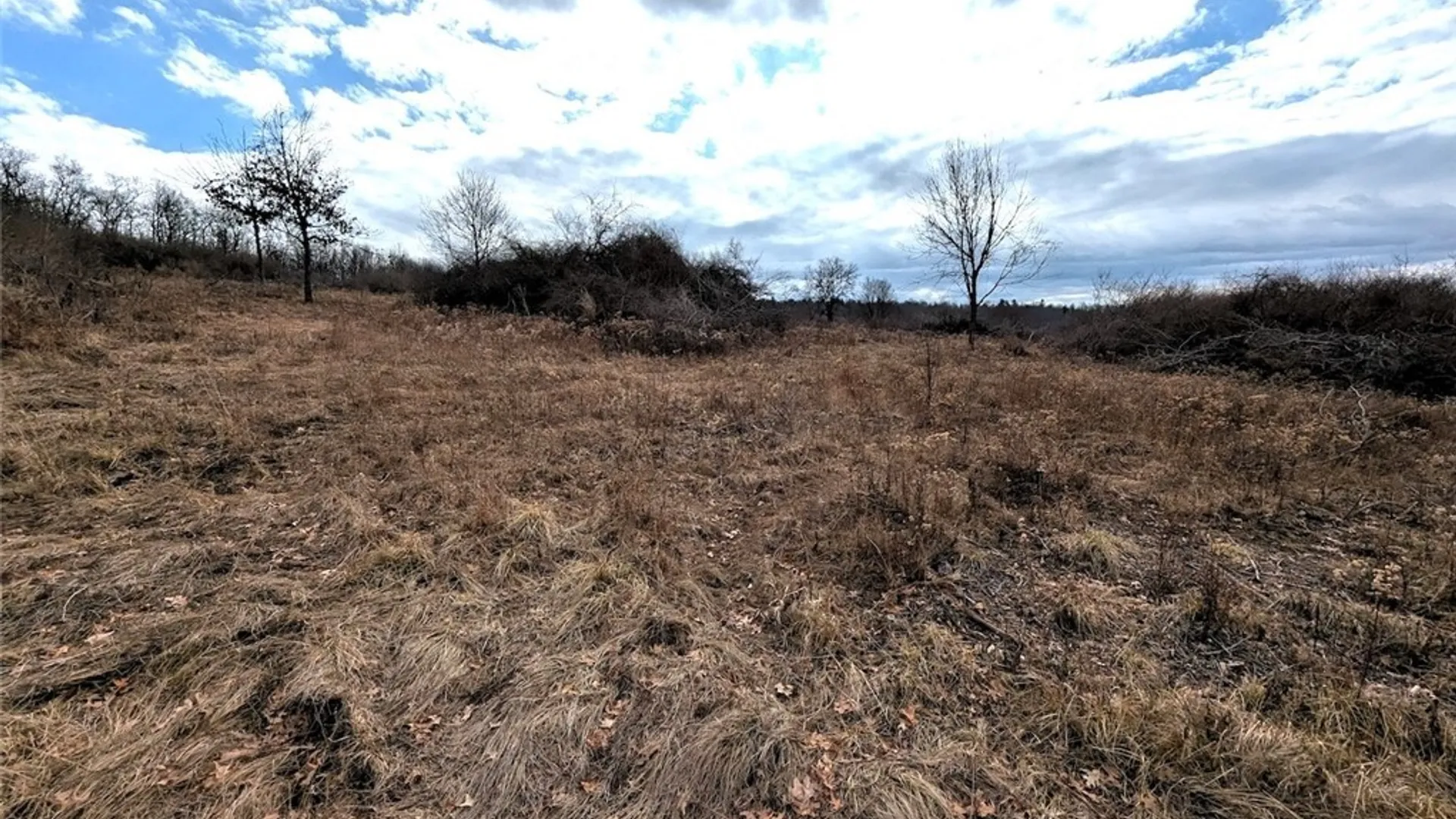 Property at Welty Road, Lindley, NY 14858 33
