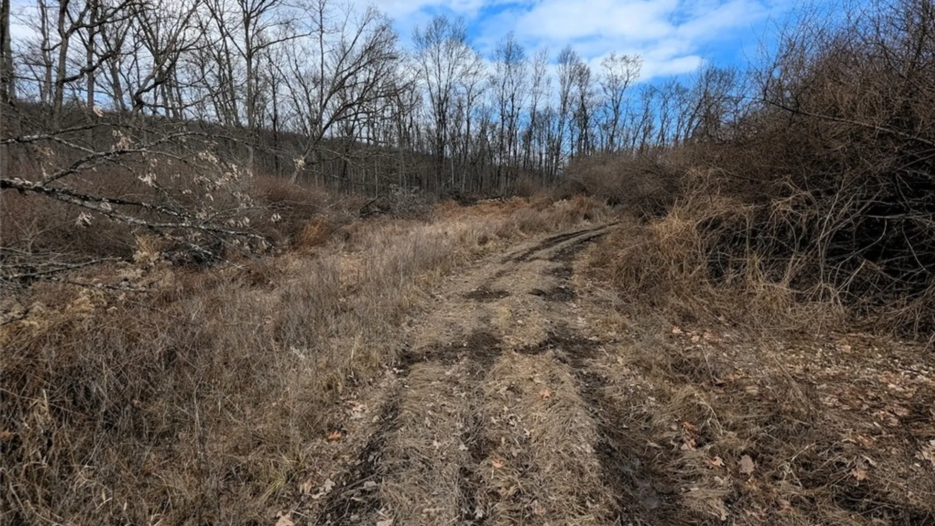 Property at Welty Road, Lindley, NY 14858 34