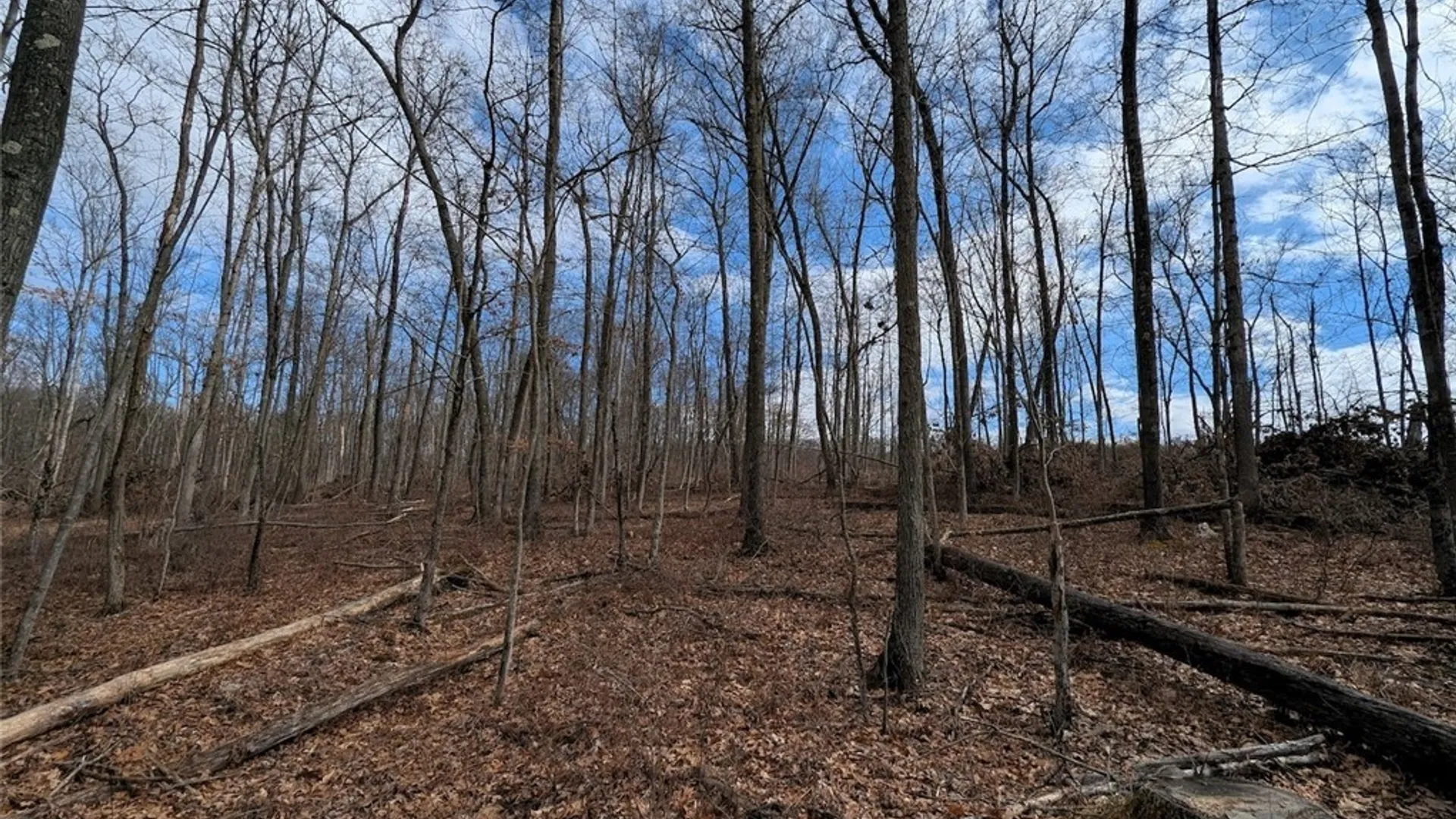 Property at Welty Road, Lindley, NY 14858 36
