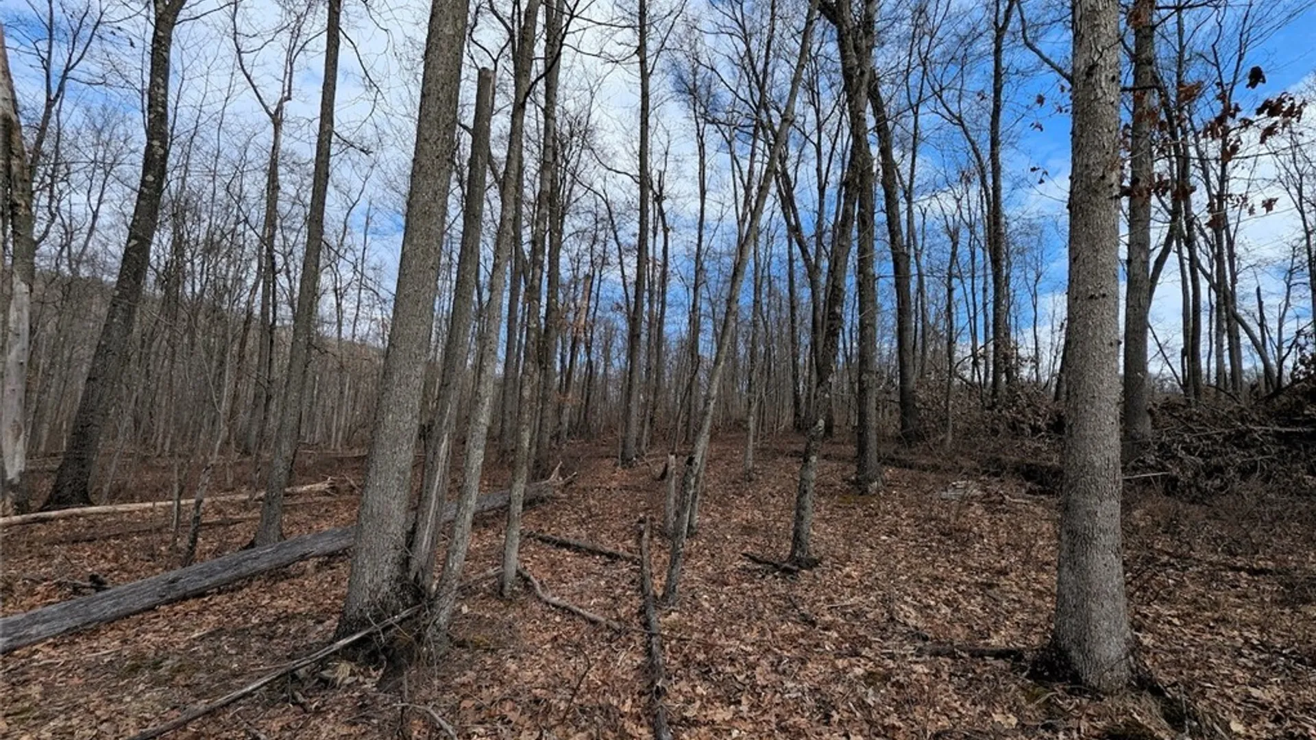Property at Welty Road, Lindley, NY 14858 37