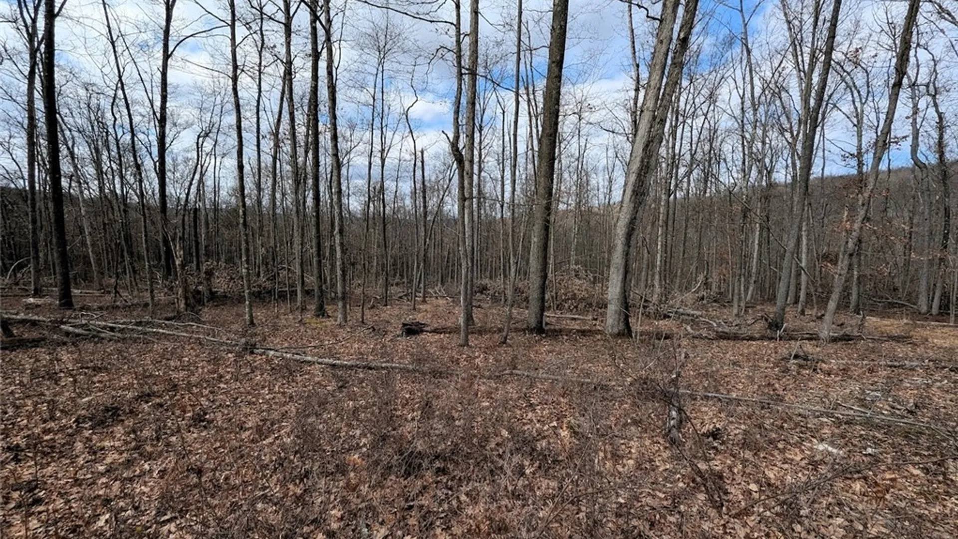 Property at Welty Road, Lindley, NY 14858 38
