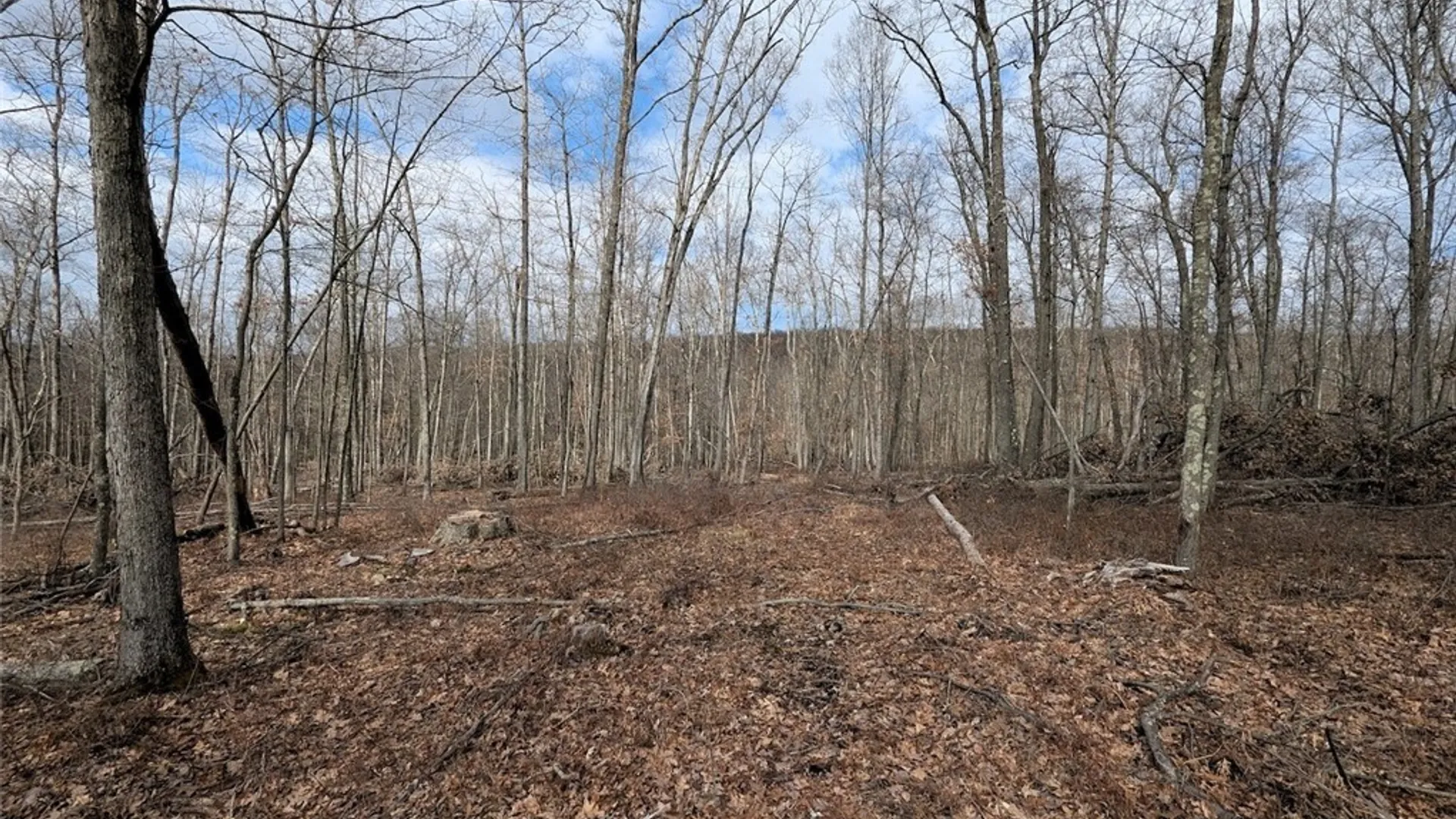 Property at Welty Road, Lindley, NY 14858 39