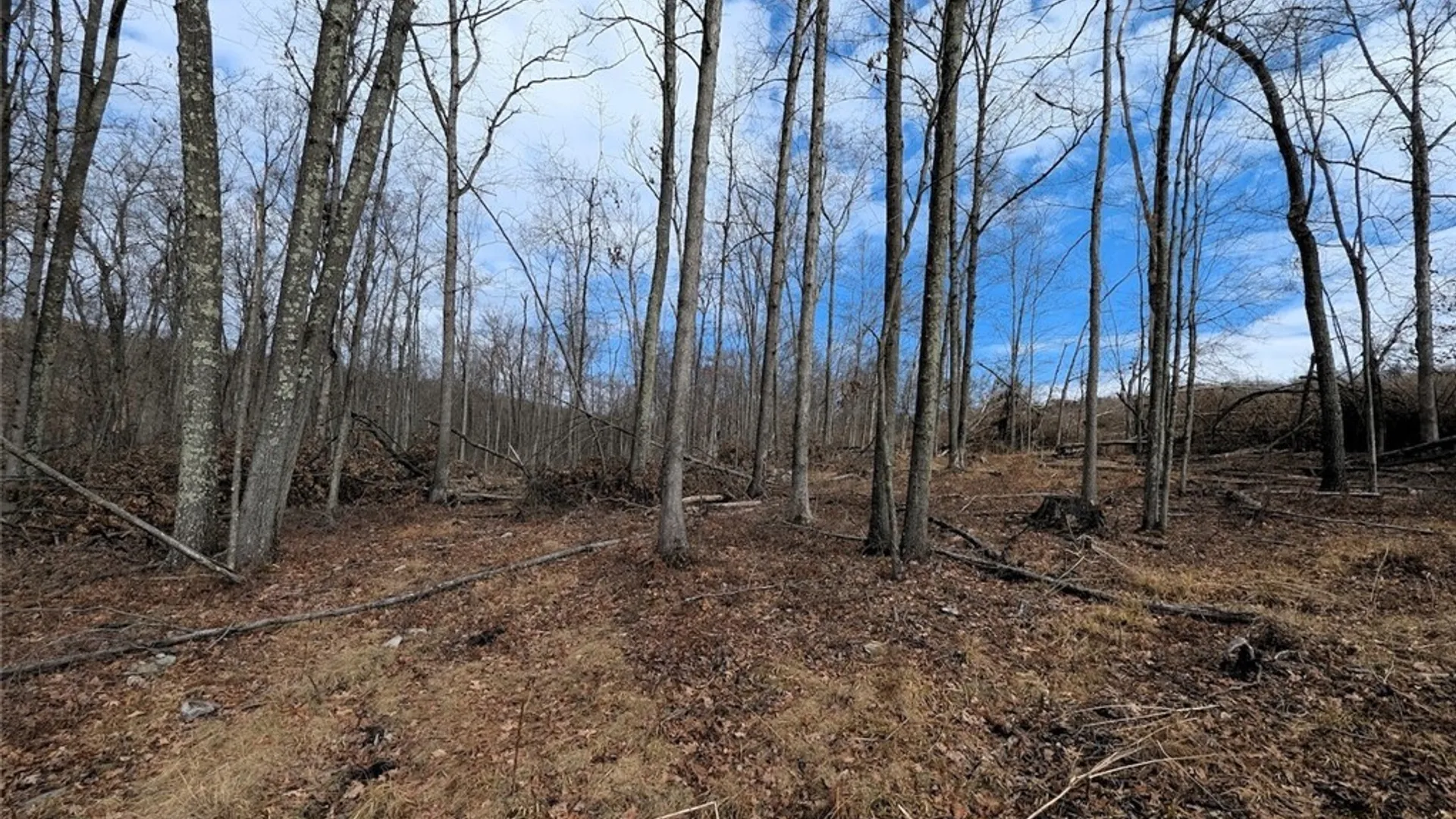 Property at Welty Road, Lindley, NY 14858 40
