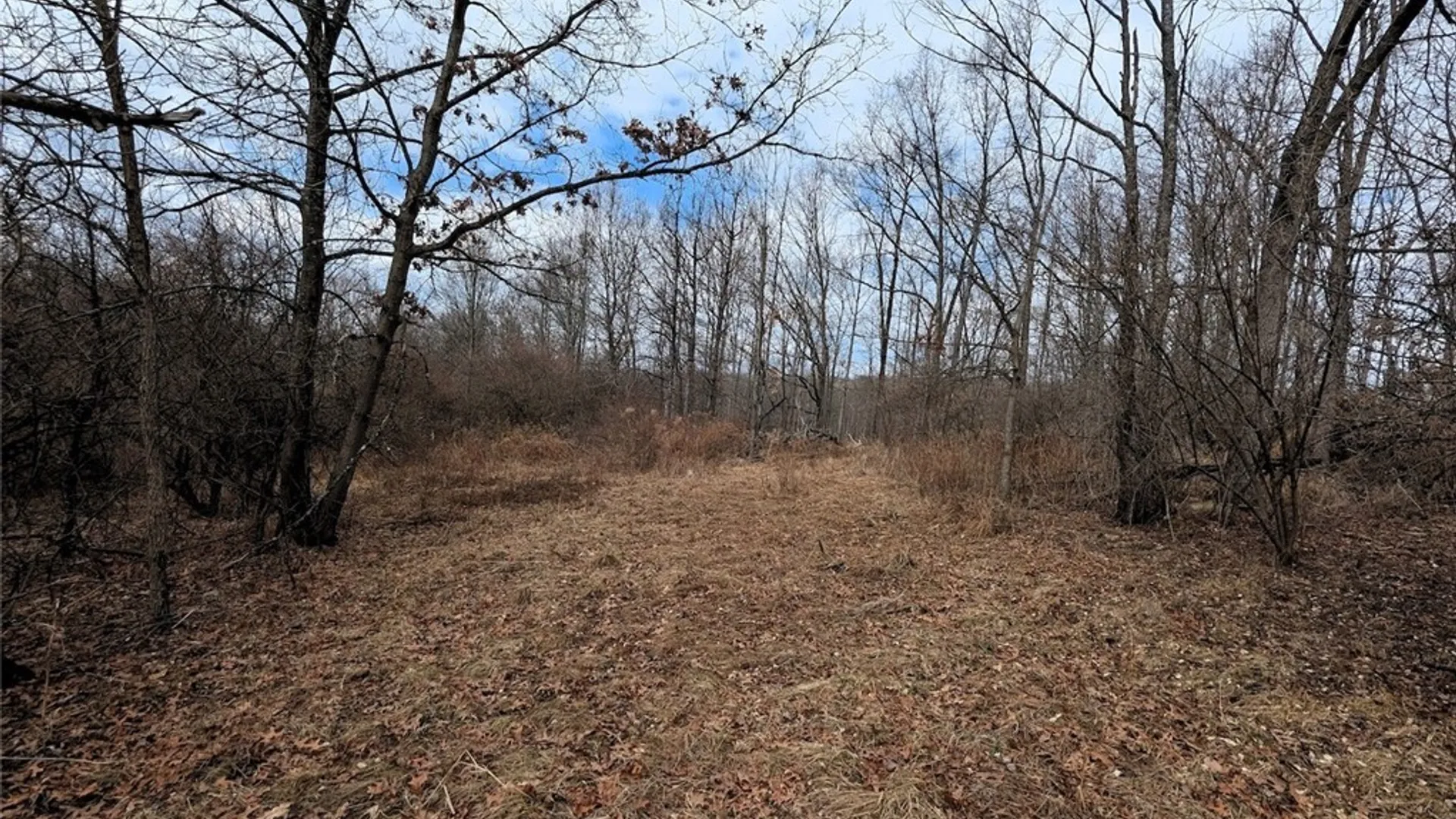 Property at Welty Road, Lindley, NY 14858 41