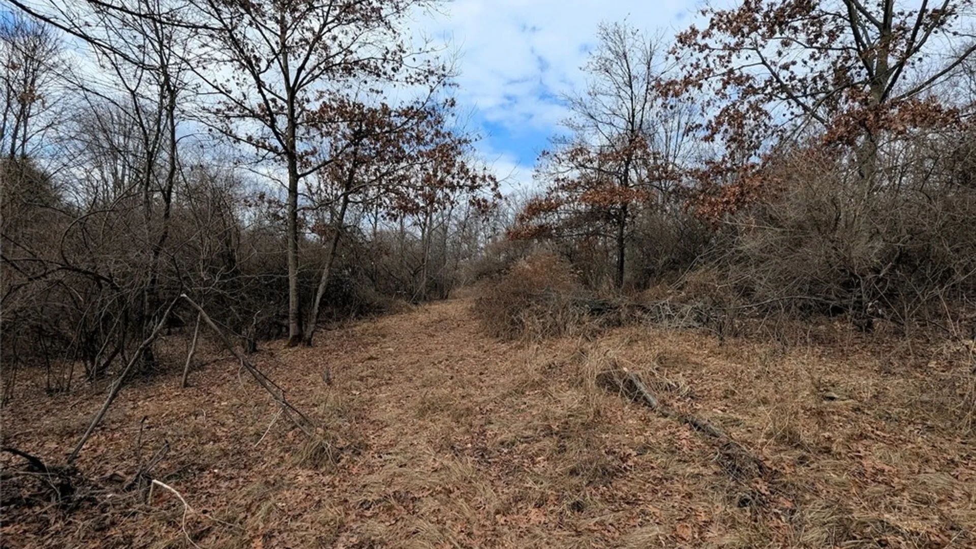 Property at Welty Road, Lindley, NY 14858 42