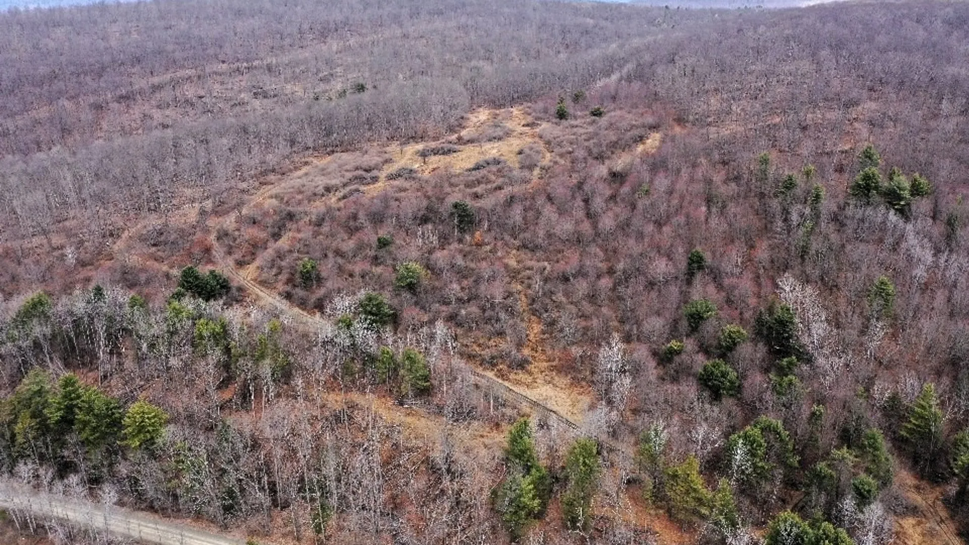 Property at Welty Road, Lindley, NY 14858 6