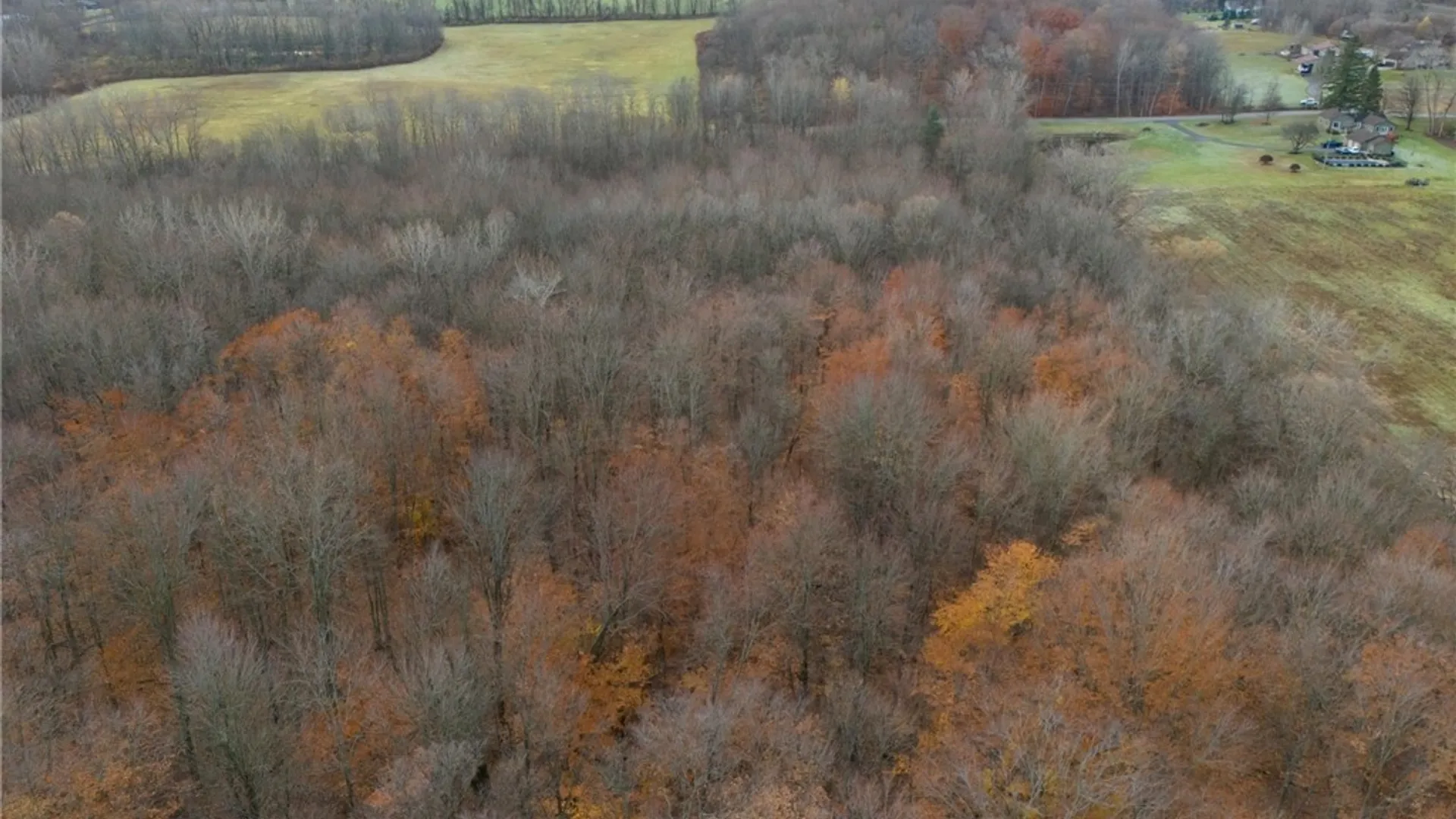 Property at VL 1 Eddy Rd Road, Macedon, NY 14502 5