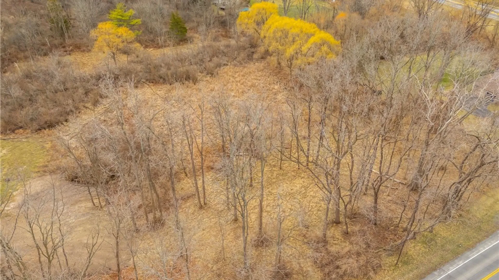 Property at Boughton Hill Road, Mendon, NY 14564 10