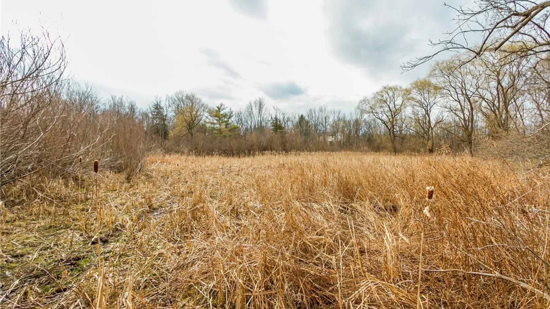 Property at Boughton Hill Road, Mendon, NY 14564 6