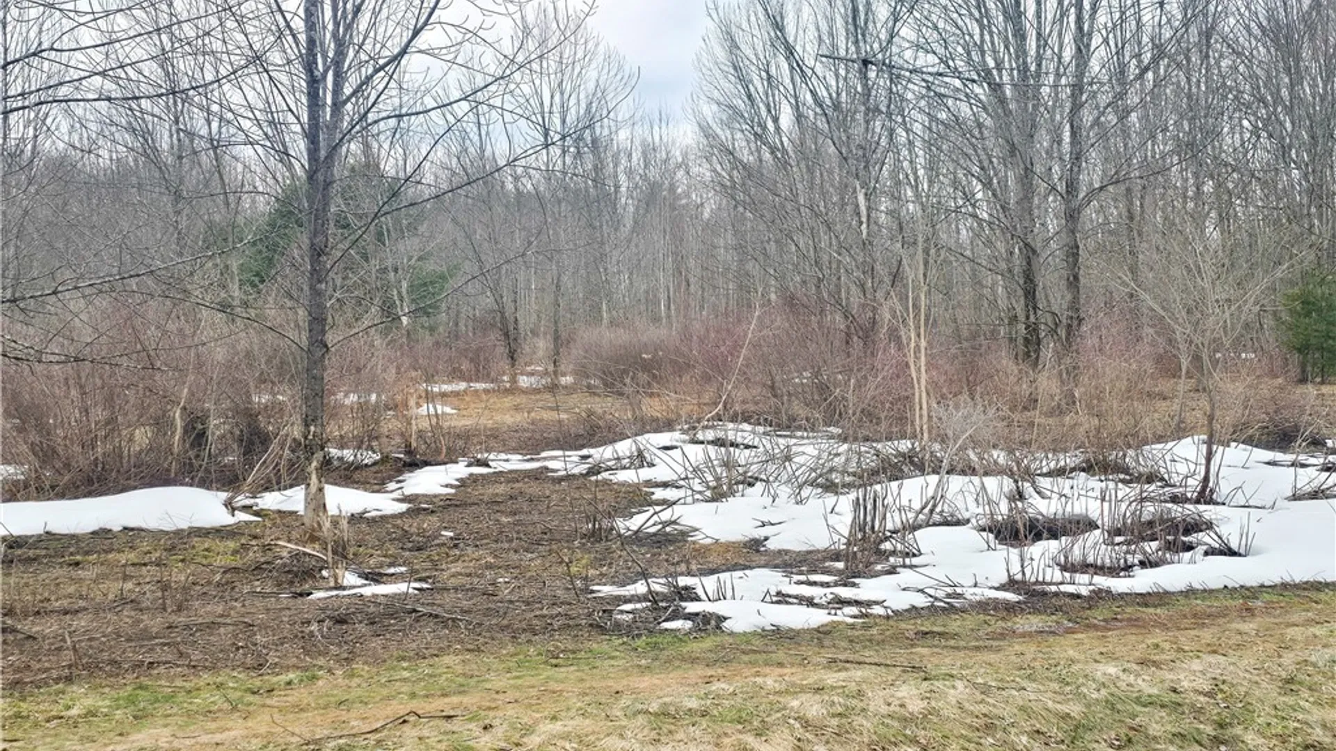 Property at 0 Depot Road, Vienna, NY 13042 6