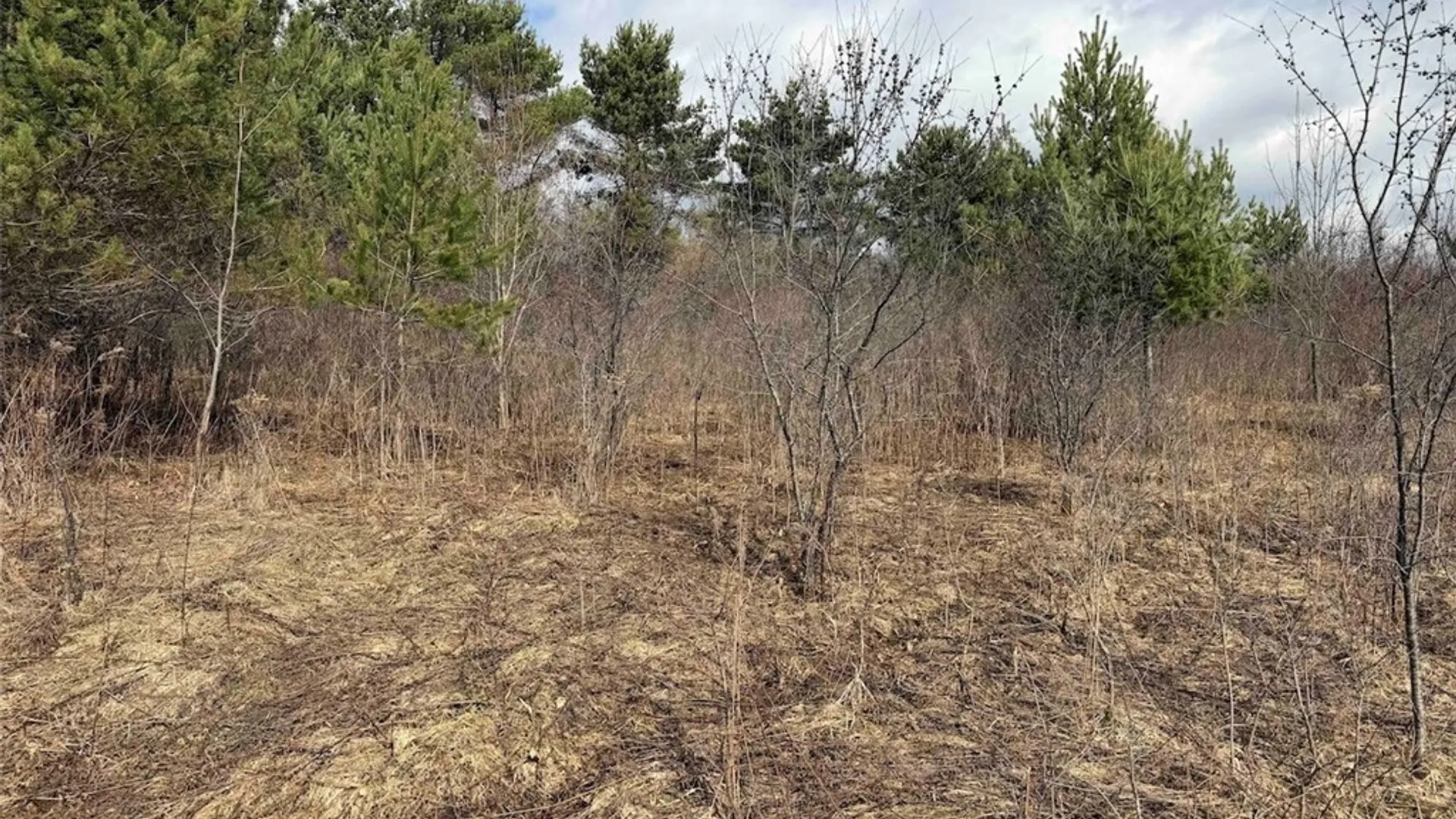 Property at White Creek Road, Friendship, NY 14739 14