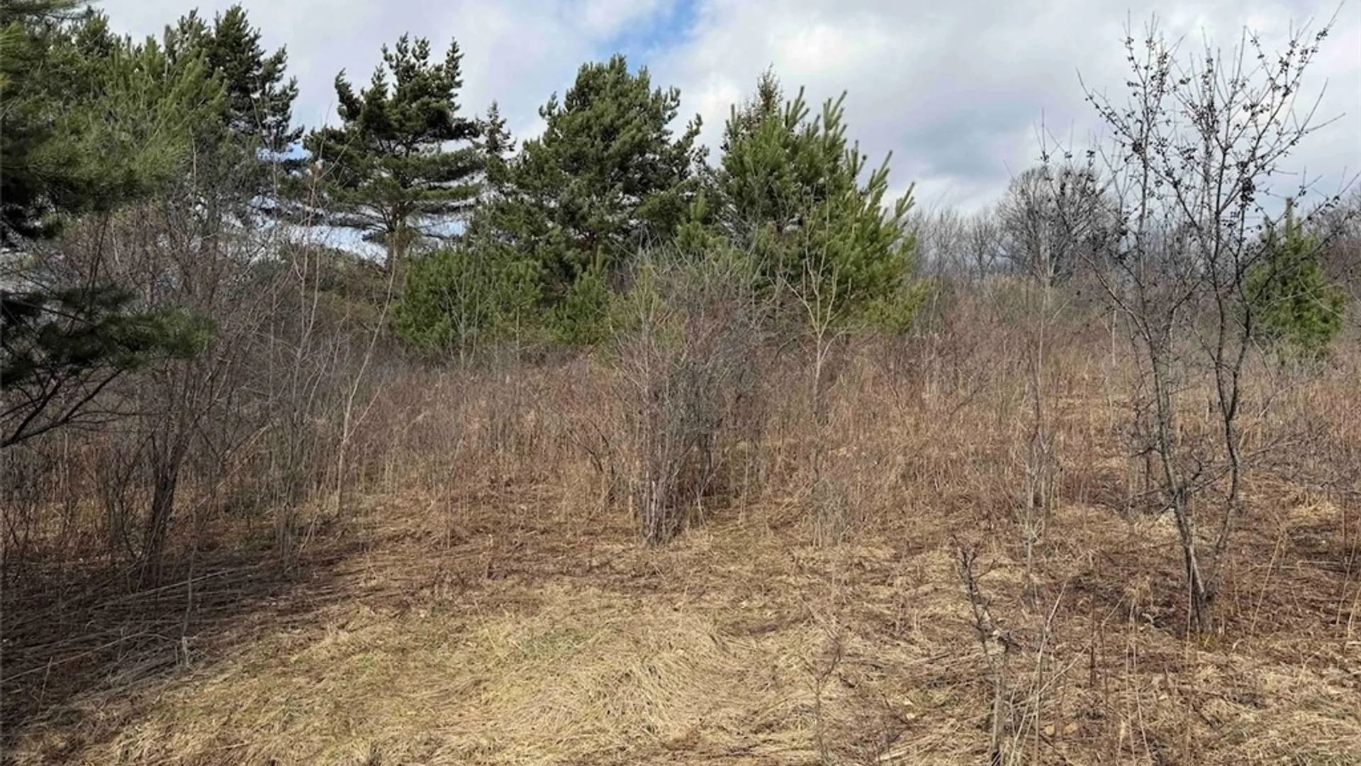 Property at White Creek Road, Friendship, NY 14739 15