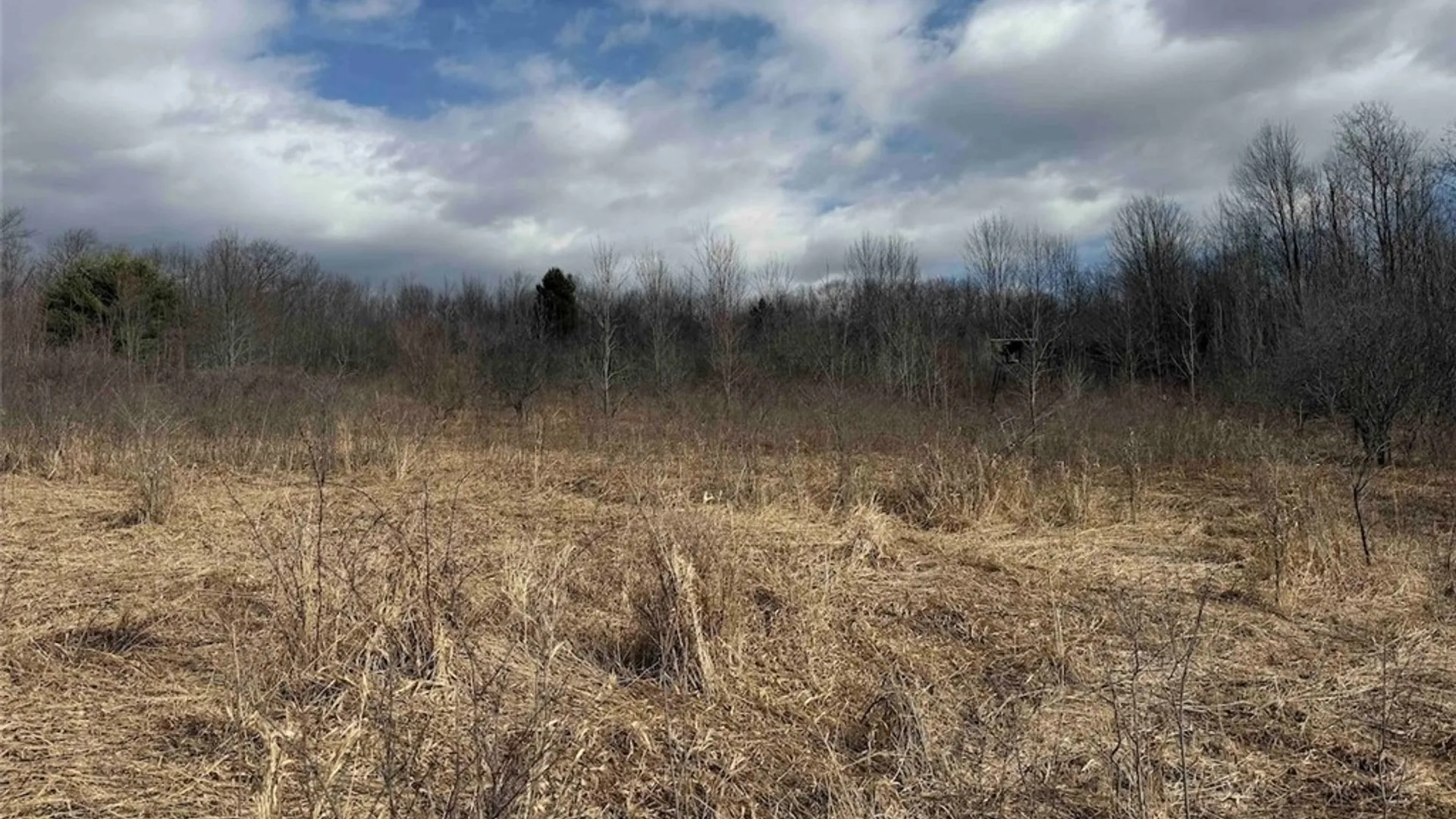 Property at White Creek Road, Friendship, NY 14739 16