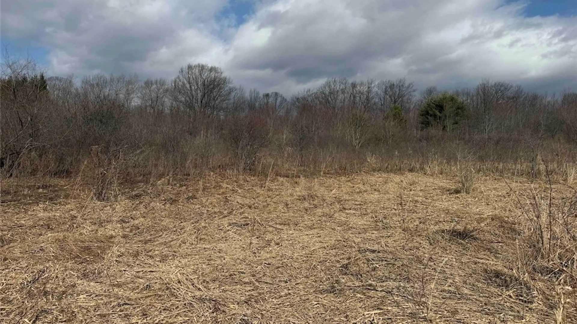 Property at White Creek Road, Friendship, NY 14739 17