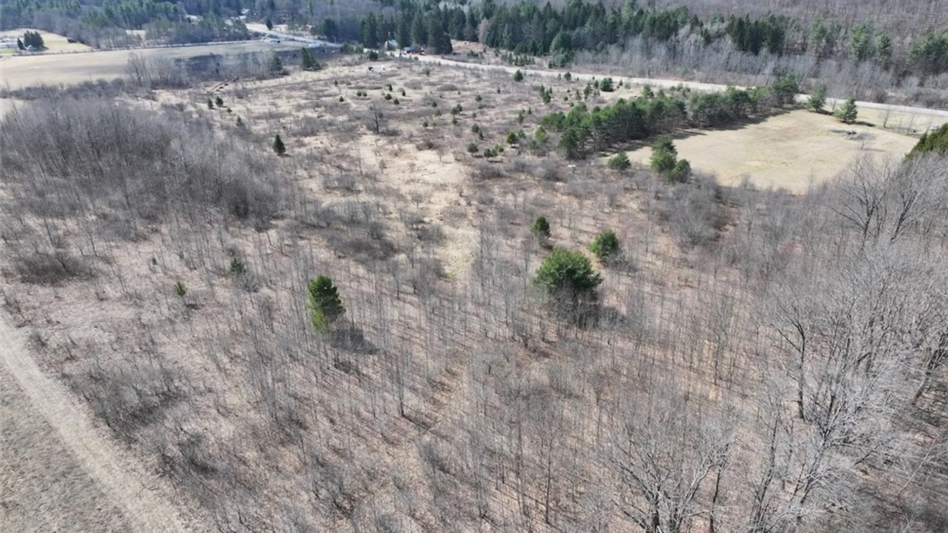 Property at White Creek Road, Friendship, NY 14739 5