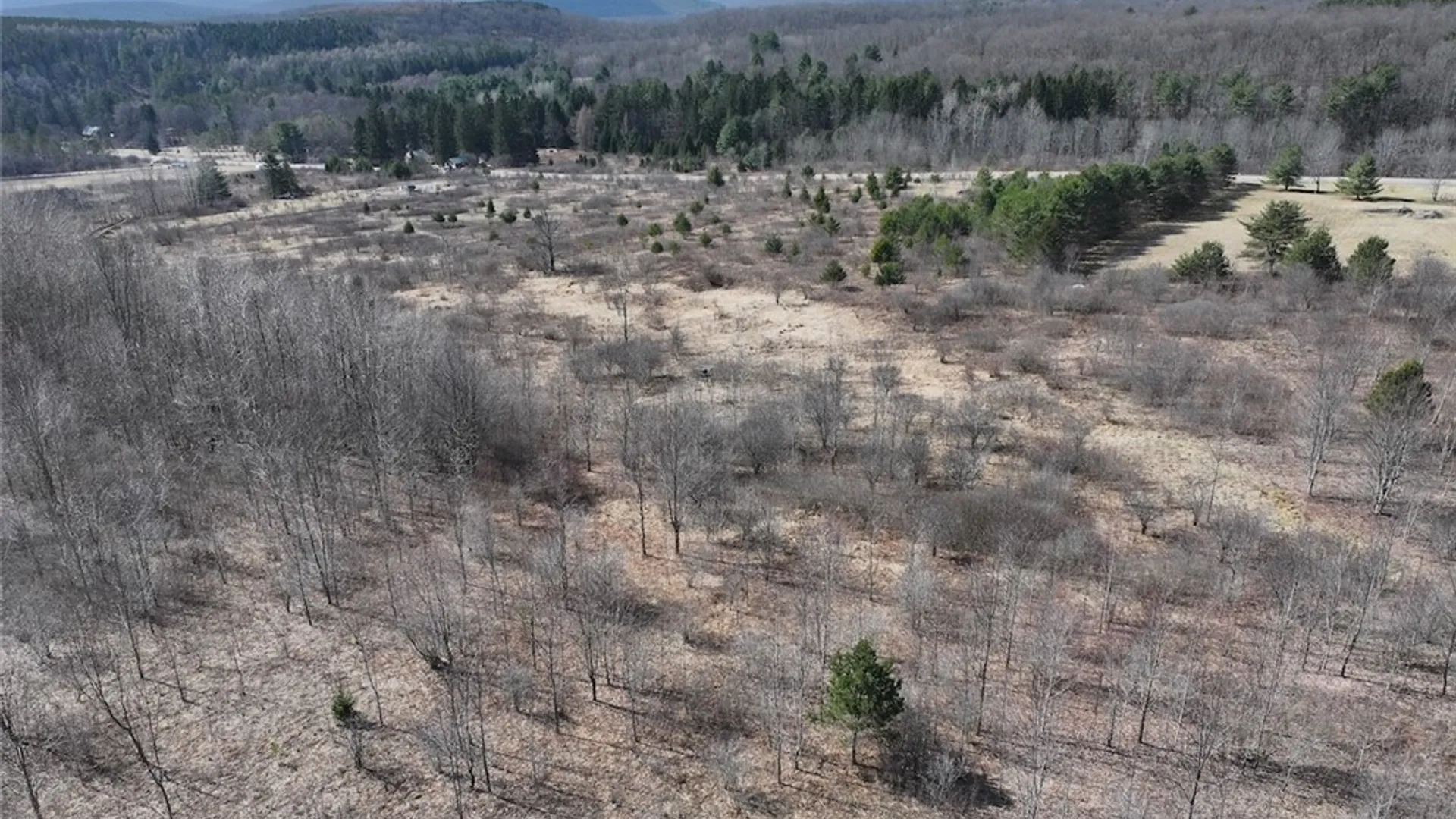 Property at White Creek Road, Friendship, NY 14739 6