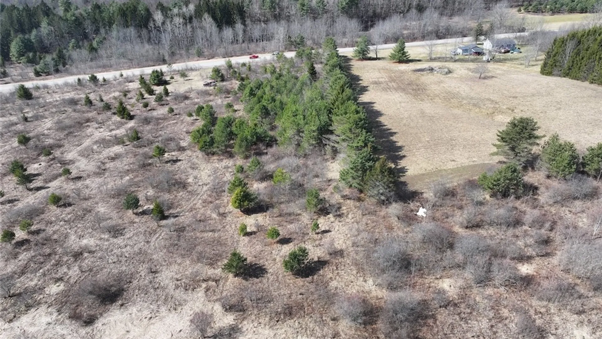 Property at White Creek Road, Friendship, NY 14739 7