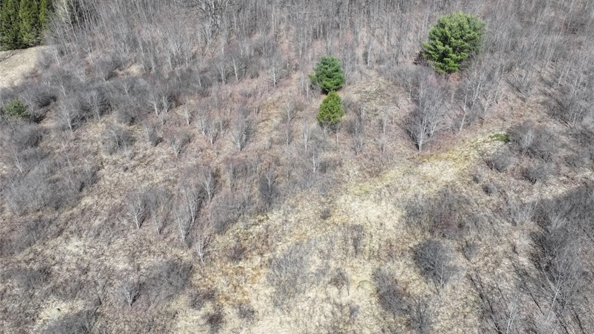 Property at White Creek Road, Friendship, NY 14739 8