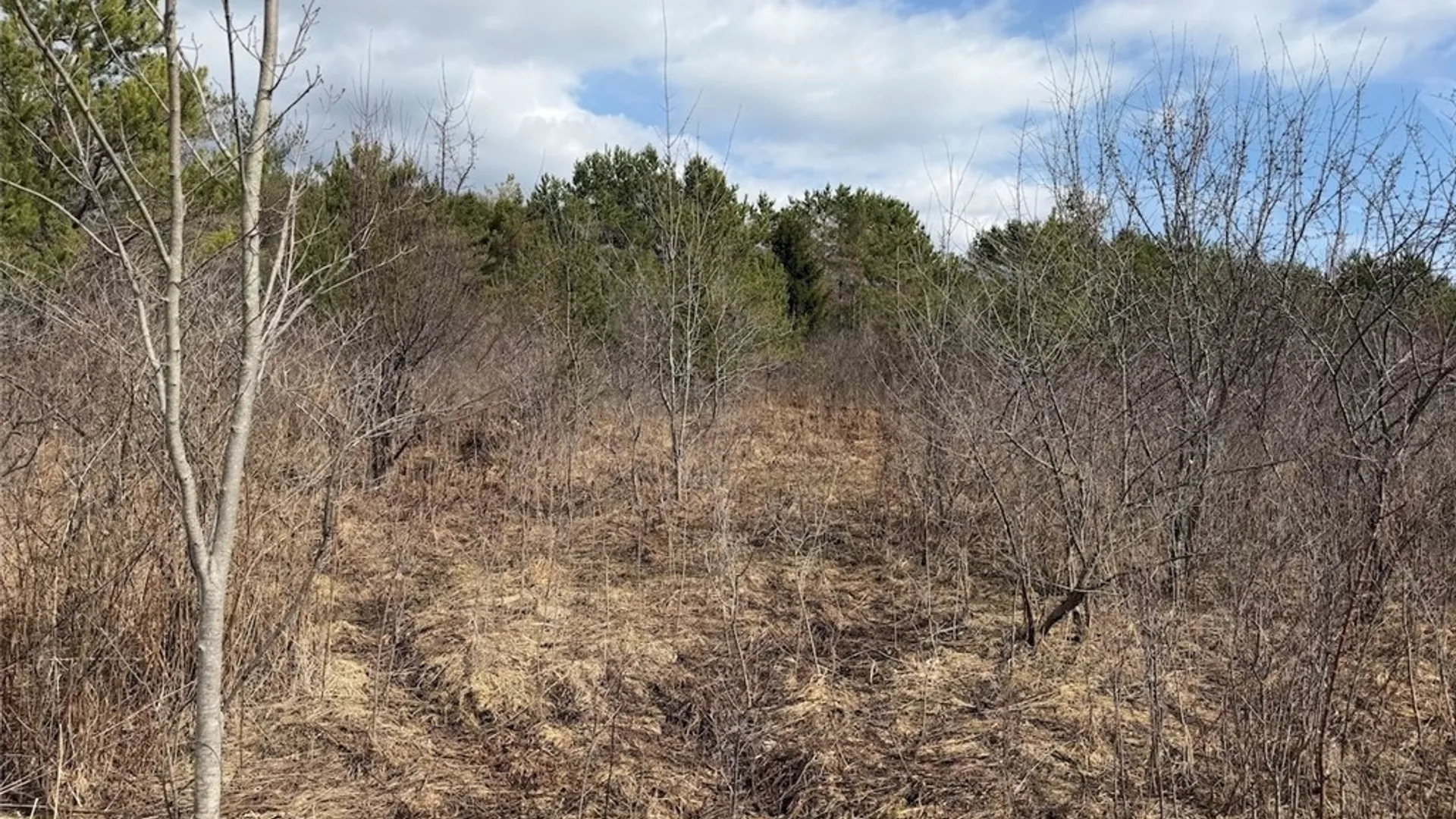 Property at White Creek Road, Friendship, NY 14739 9