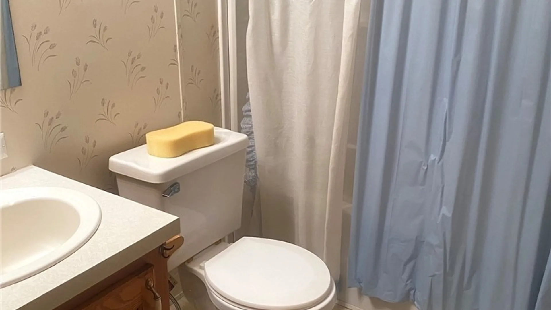 Property at 2890 Route 305, Clarksville, NY 14727 8